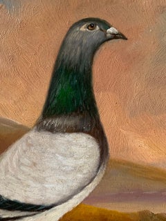 Antique Oil On Wooden Panel Of A Racing Pigeon