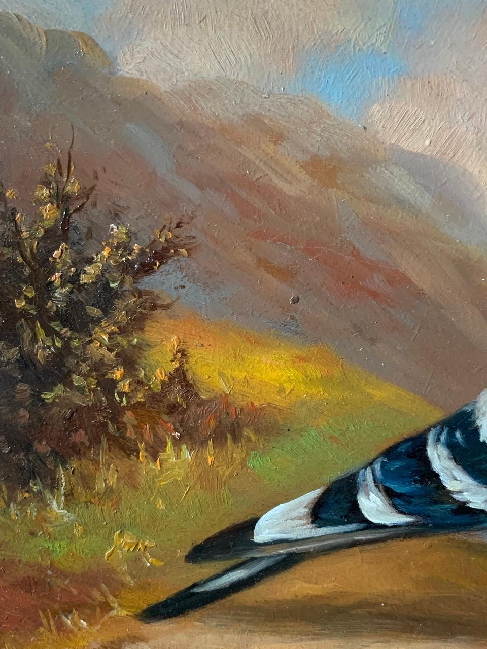 European Antique Oil On Wooden Panel Of A Racing Pigeon