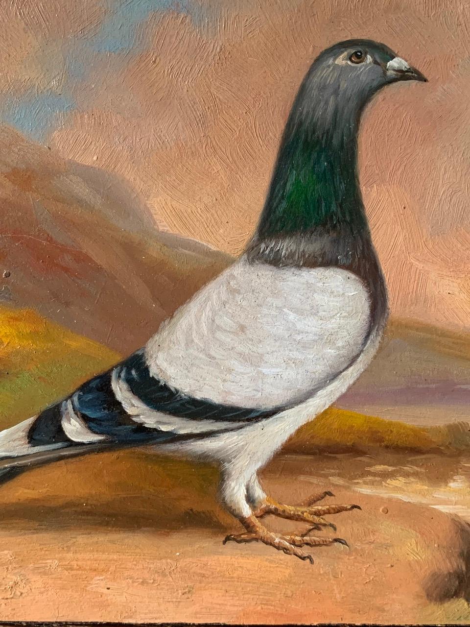 Hand-Painted Antique Oil On Wooden Panel Of A Racing Pigeon