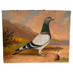 Antique Oil On Wooden Panel Of A Racing Pigeon