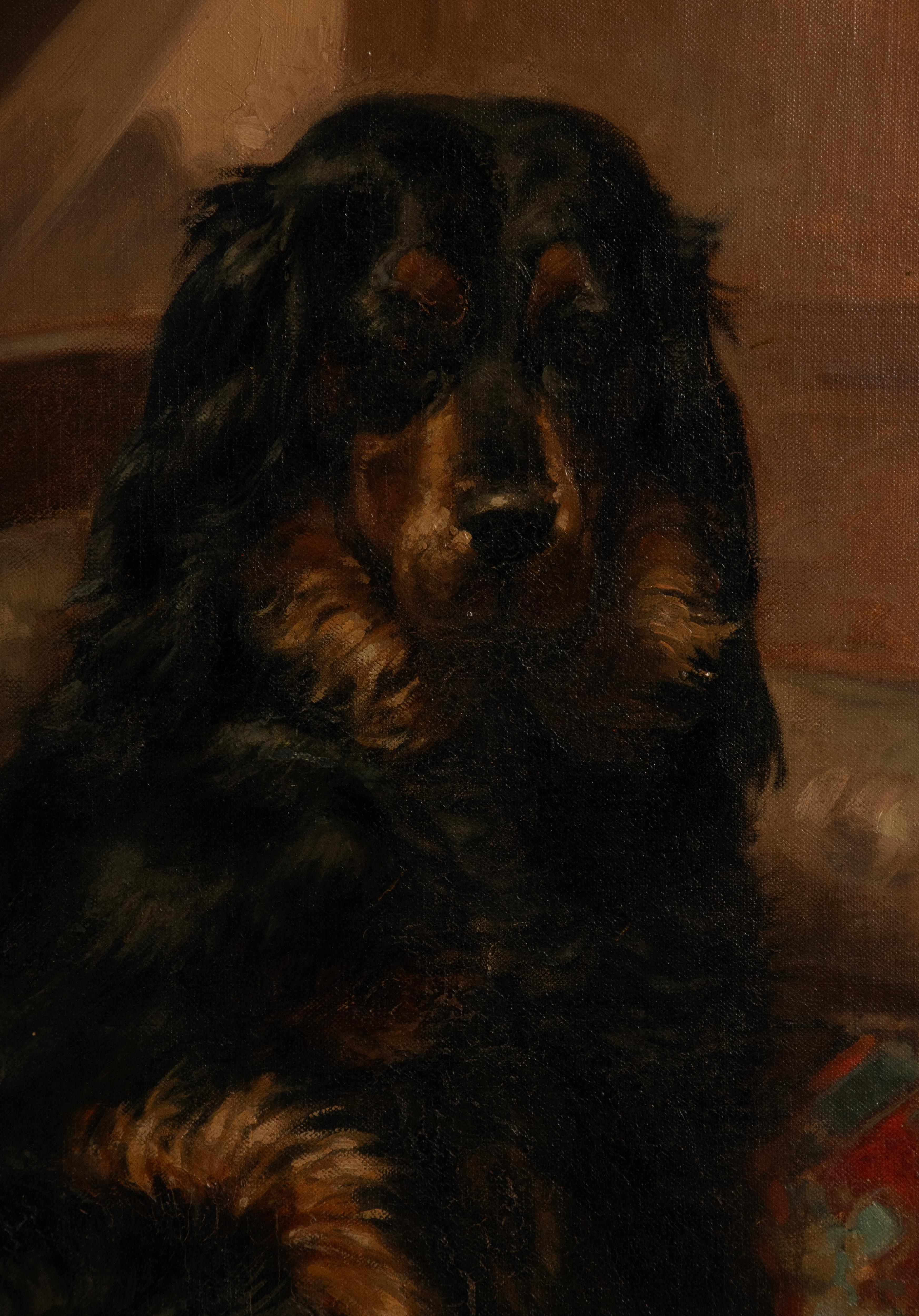 Antique Oil Painting - Dog Portrait of a Gordon Setter by Médard Tytgat In Good Condition For Sale In Casteren, Noord-Brabant