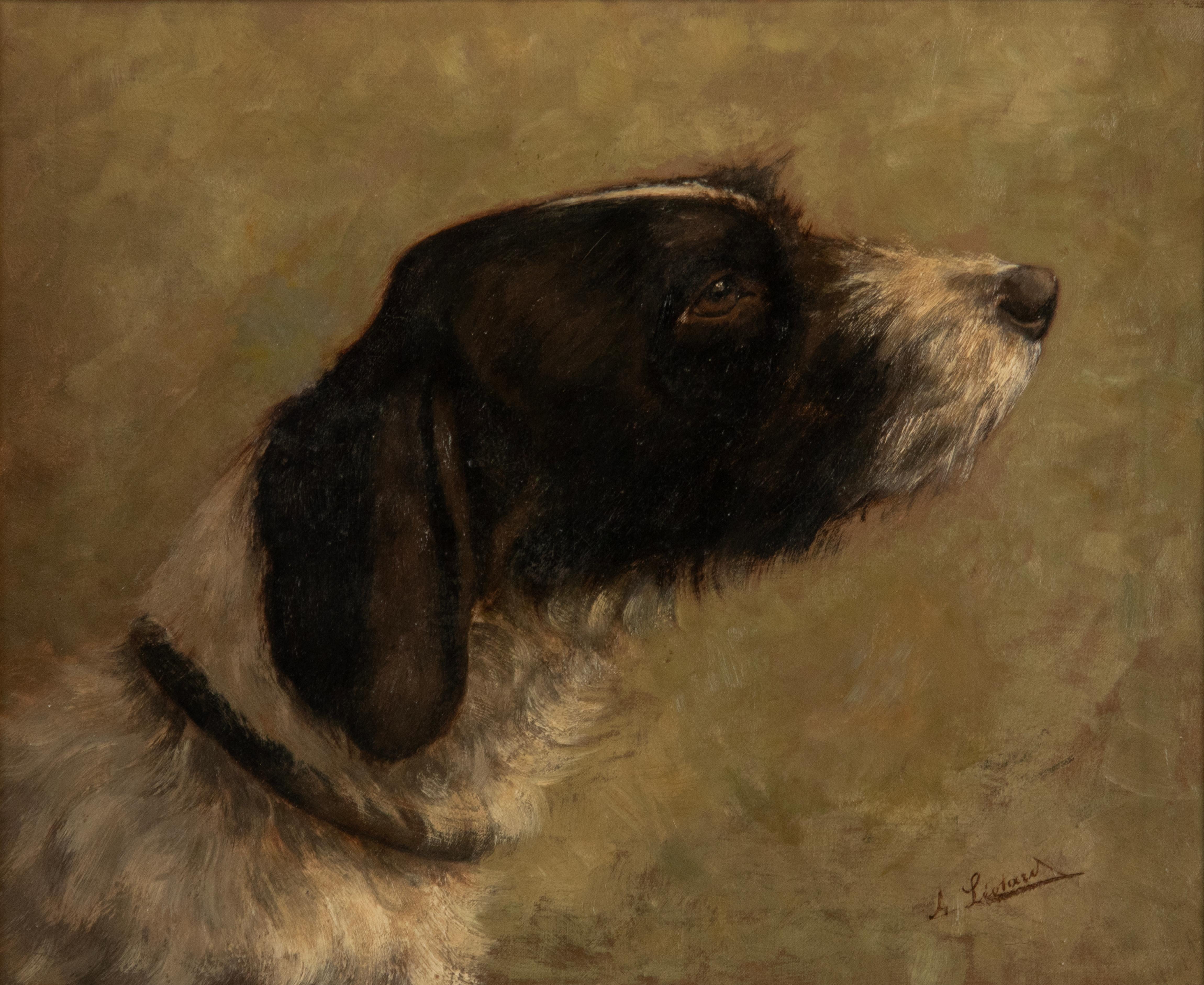 An antique oil painting, portrait of an English Springen Spaniel. It is really striking and refined painted. Signed right under by the female artist ‘Animalier' Alice Léotard. Dating around 1900-1910, Belgium. In a beautiful ornate gilded frame,