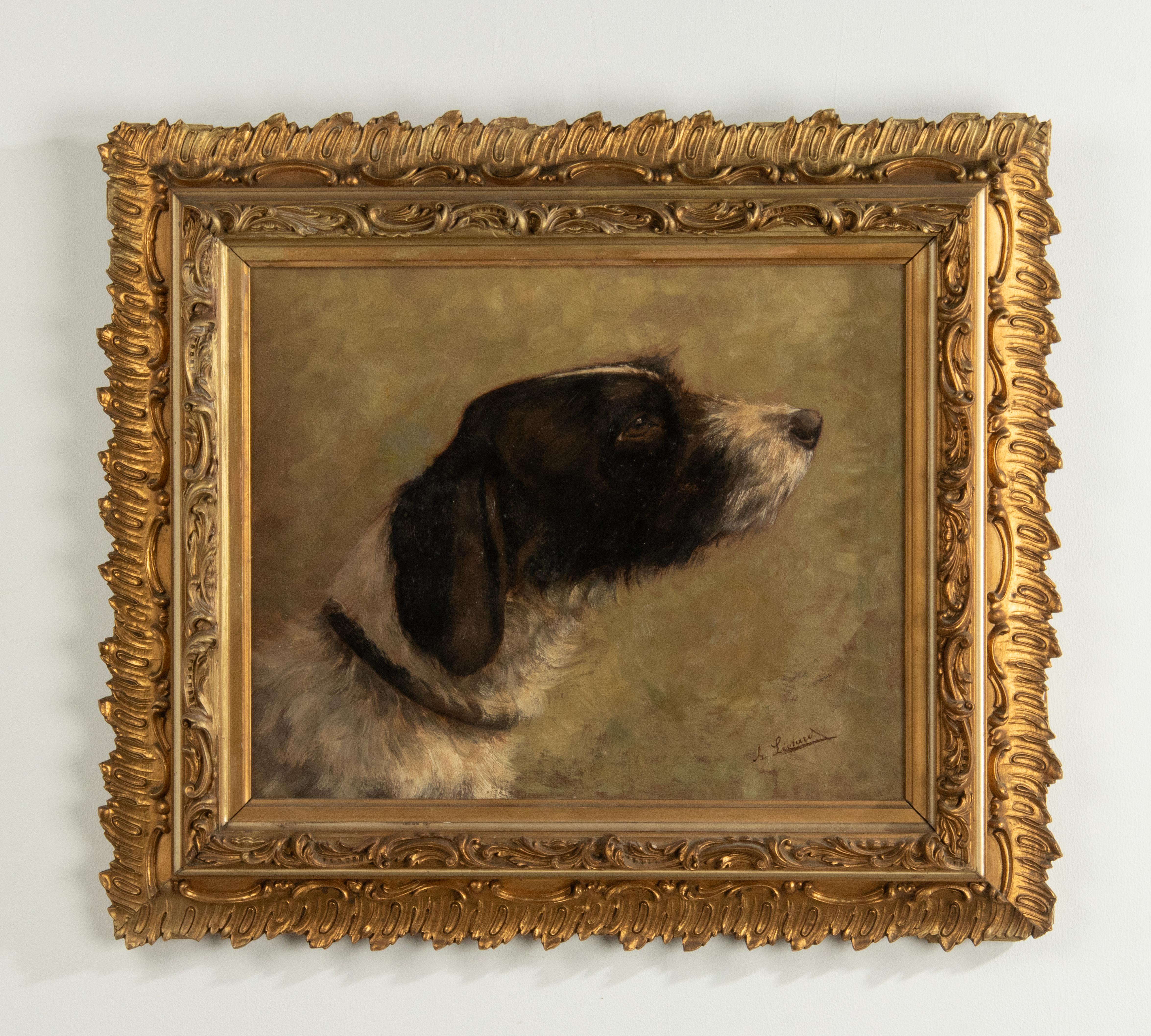 Belle Époque Antique Oil Painting of a English Springer Spaniel Dog by Alice Léotard For Sale