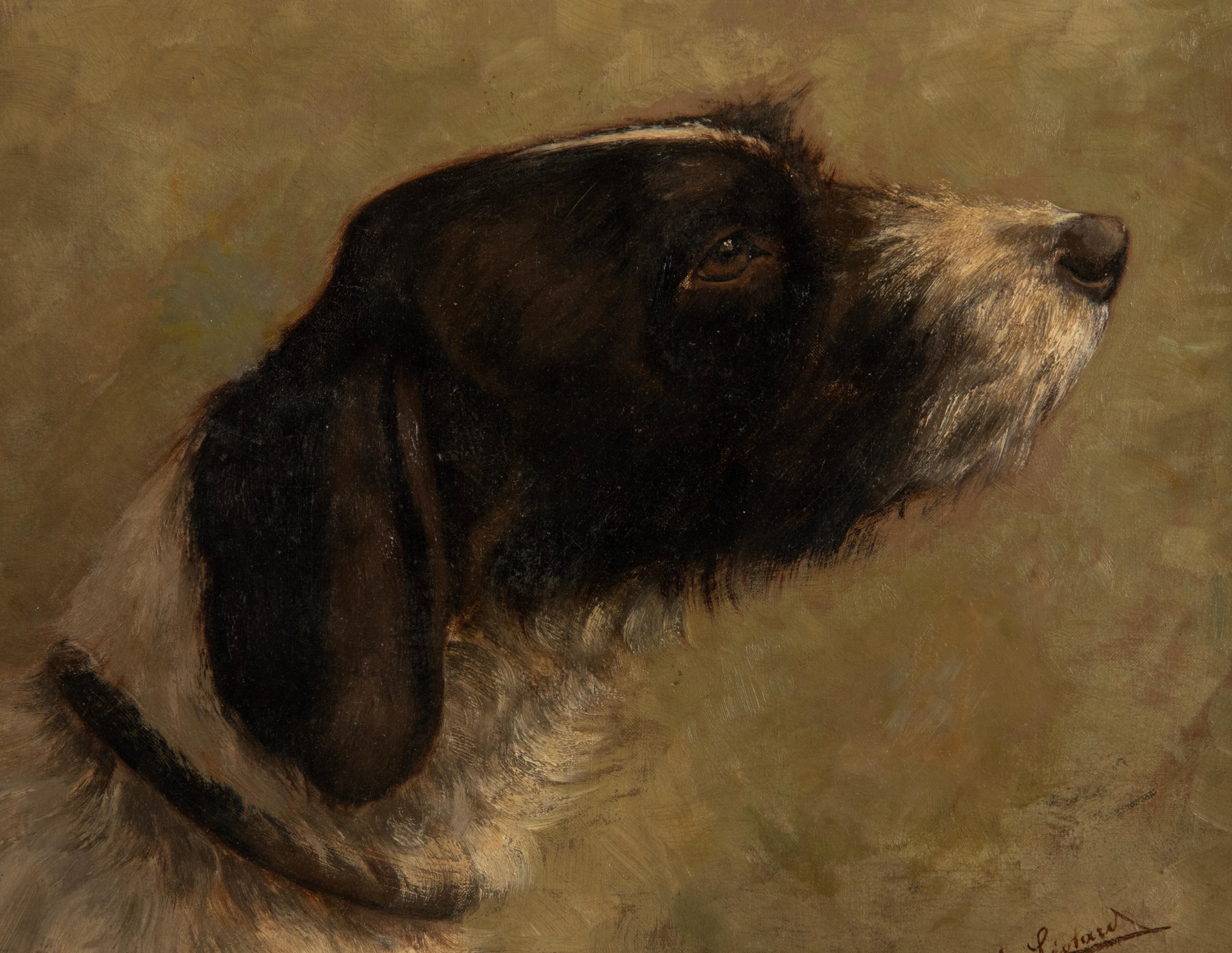 Belgian Antique Oil Painting of a English Springer Spaniel Dog by Alice Léotard For Sale