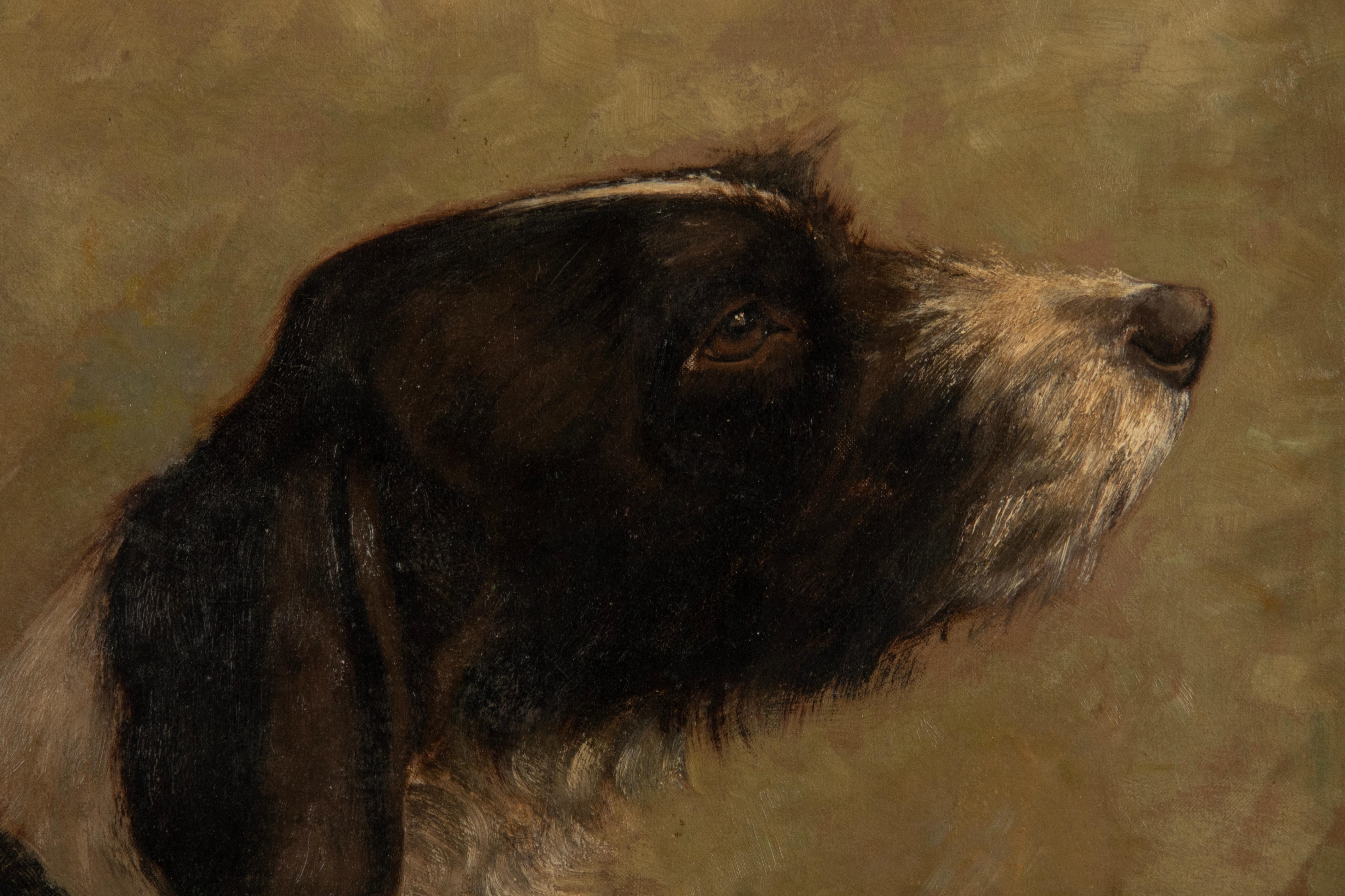 Peinture à l'huile ancienne d'un chien Springer Spaniel anglais par Alice Léotard Bon état à Casteren, Noord-Brabant