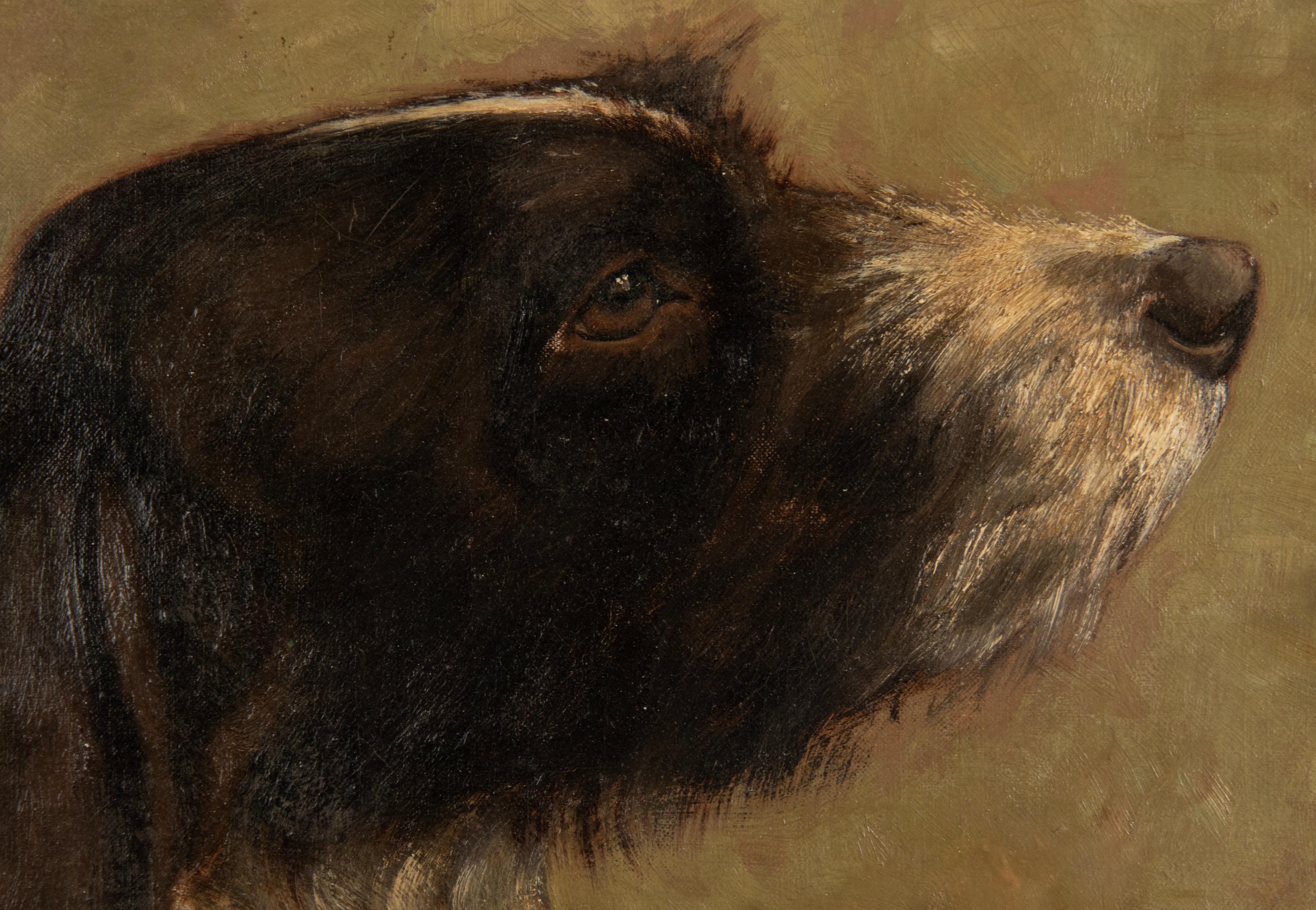 Gesso Peinture à l'huile ancienne d'un chien Springer Spaniel anglais par Alice Léotard