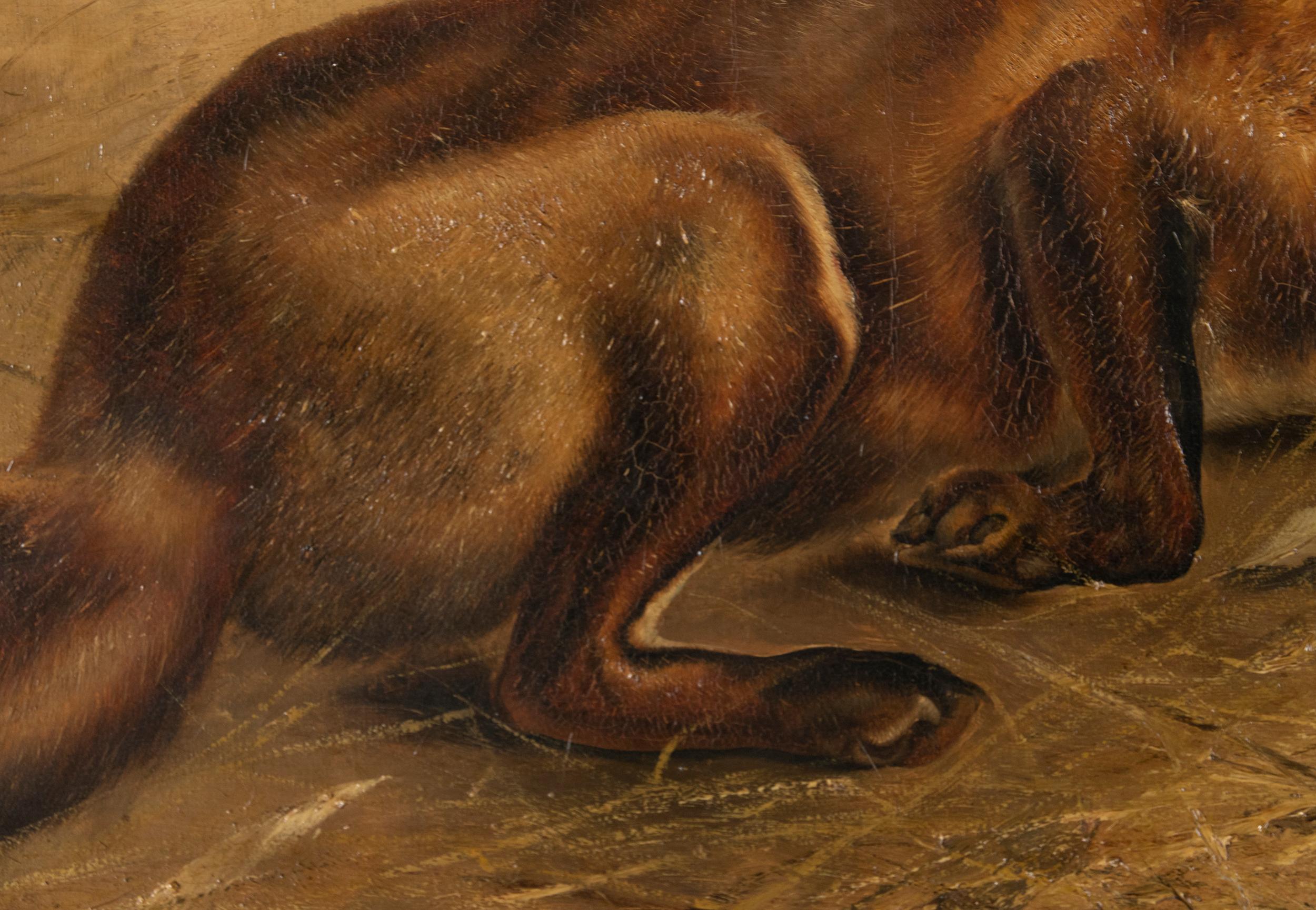 Belgian Antique Oil Painting of a Fox by Piet van Engelen