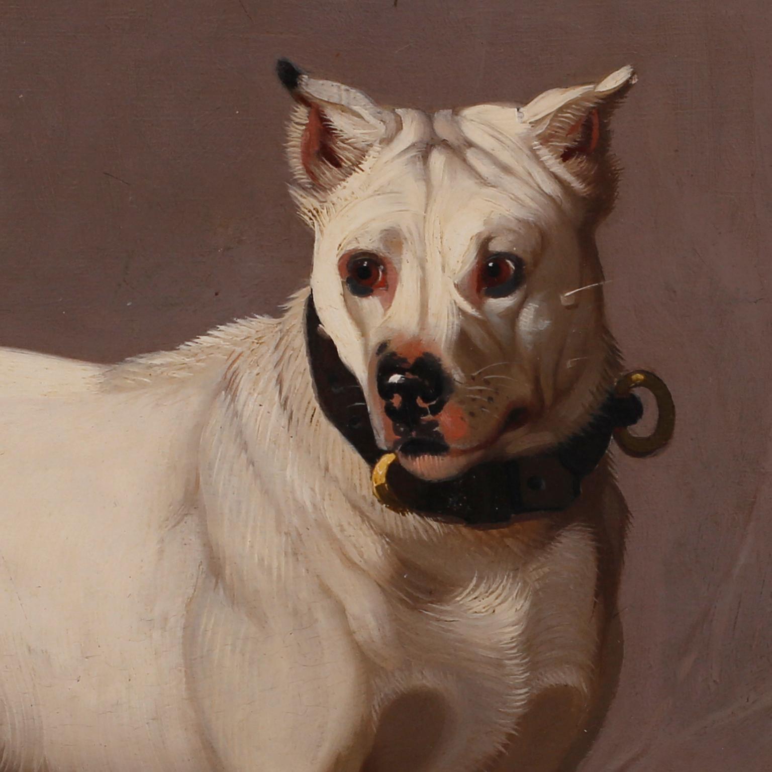 XIXe siècle Peinture à l'huile ancienne sur panneau représentant un chien en vente