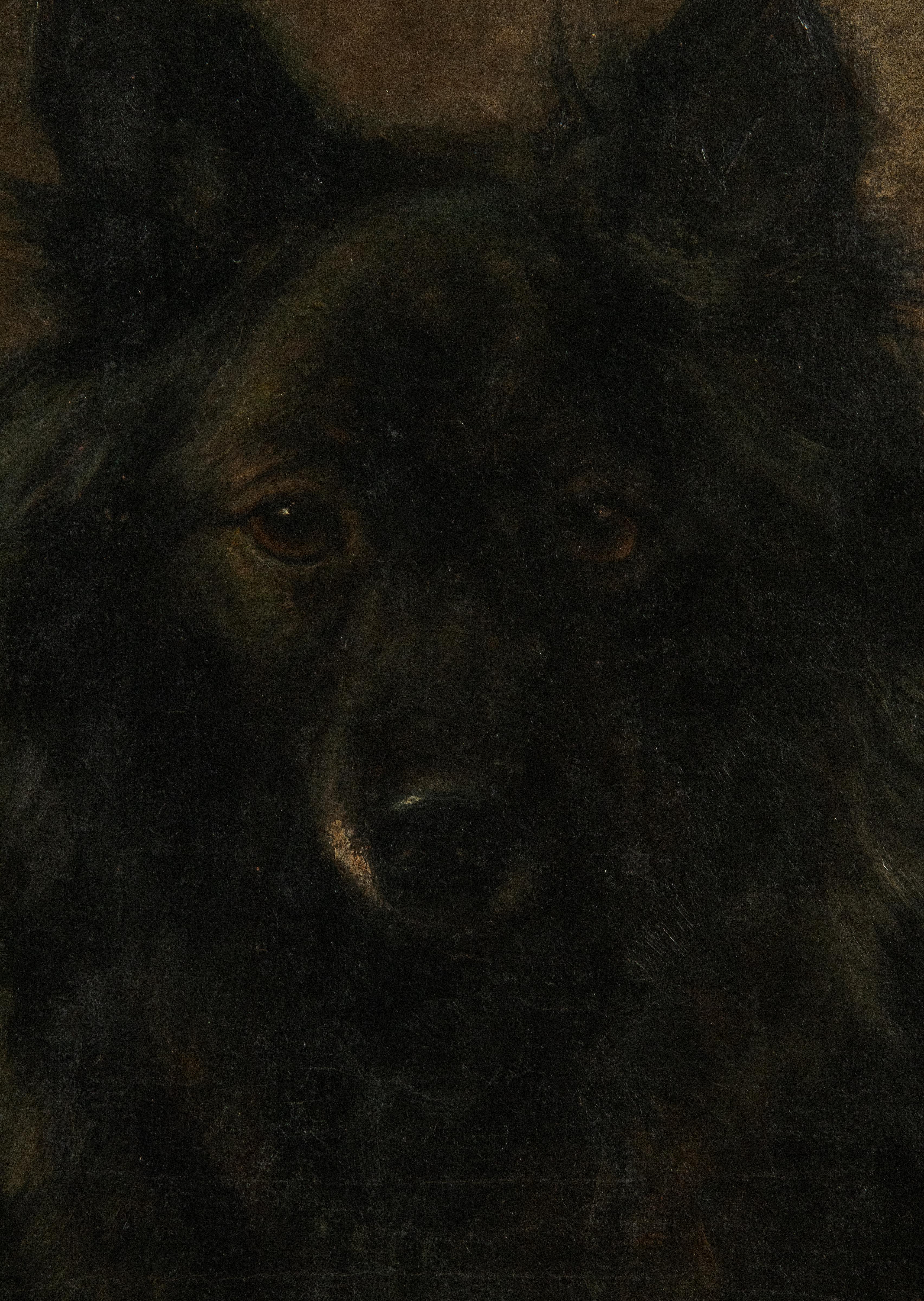Pintura al óleo antigua Retrato de perro por el animalista Jan Van Essen en venta 3