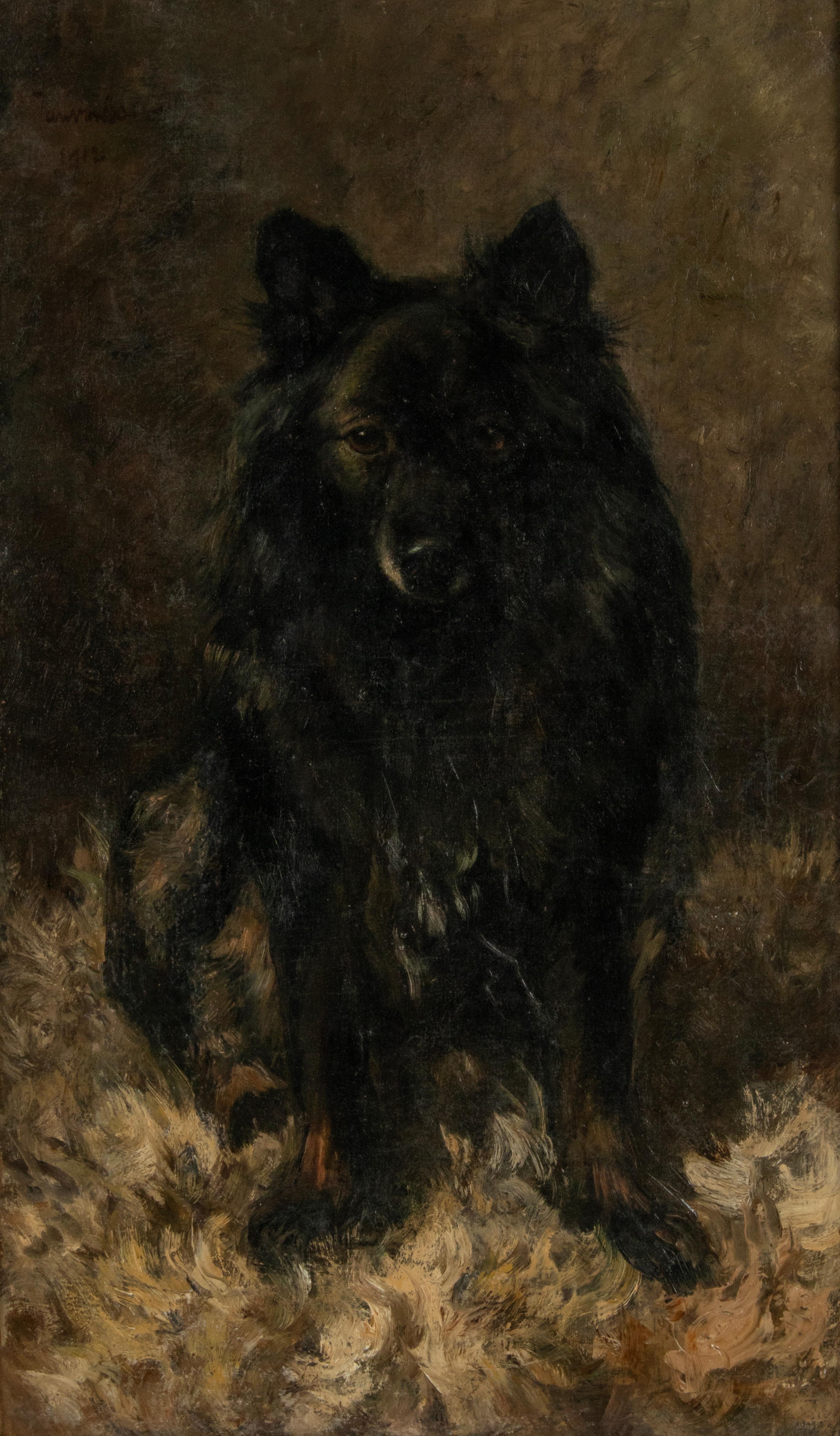 Magnifique portrait de chien réalisé par le peintre néerlandais Jan Essen. Le tableau représente un Schipperke, une race de chien autrefois plus répandue qu'aujourd'hui. C'est un berger de petite taille, d'origine belge. Le peintre a réussi à