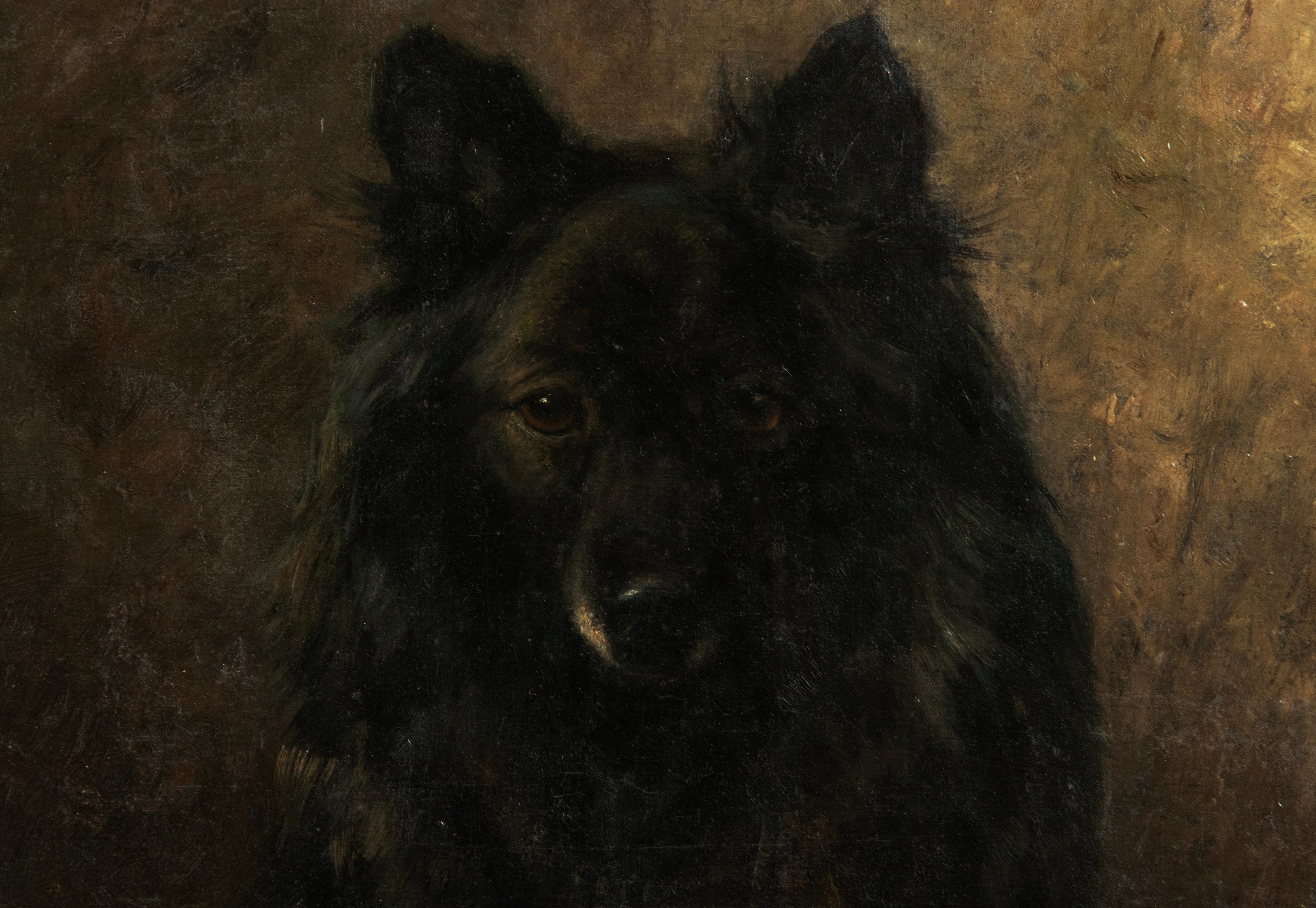 Dutch Antique Oil Painting Portrait of Dog by Animalier Jan Van Essen For Sale