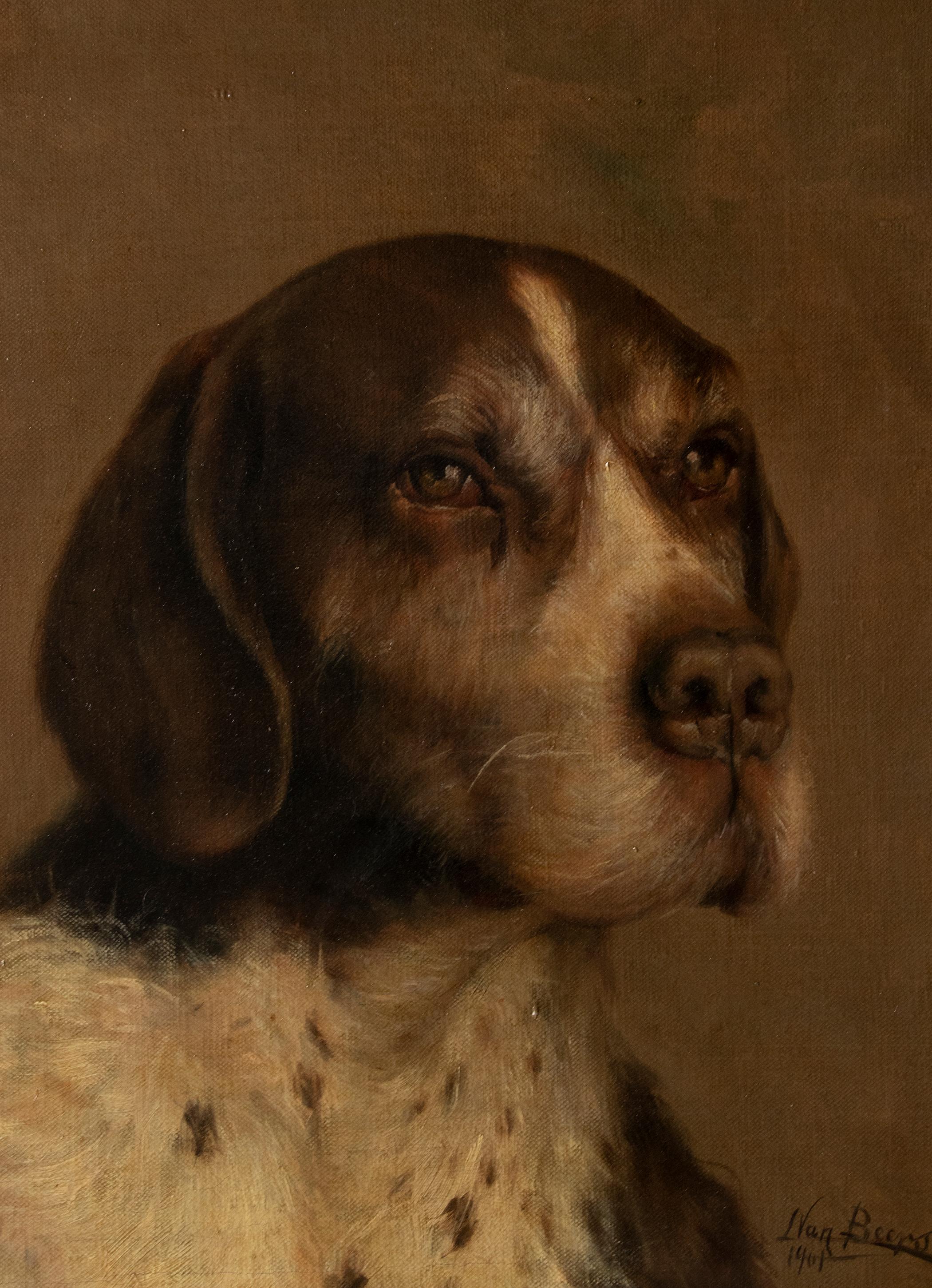 Beautiful antique portrait of a dog, the breed is a German pointer dog. The portrait gives a loving and true-to-life representation of the dog; his posture, his fur, his eyes, it exactly reflects the relationship between man and dog.
The painting