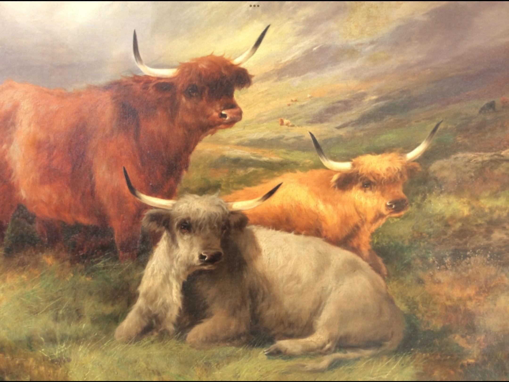 Beautiful large antique oil painting,Scottish Scene Highland Cattle John W Morris 1865/1924
Frame size, 31.25ins x 43ins.
Canvas size 24ins x 35ins,
Circa 1880.