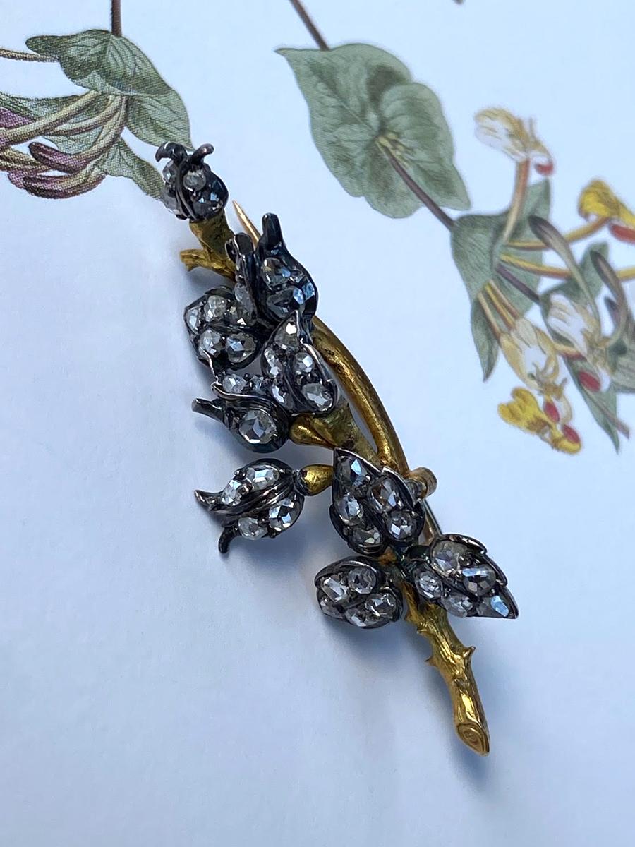 Women's or Men's Antique Old Cut Diamond Branch Brooch Silver Gold Buts Leaf Shape Art Nouveau For Sale