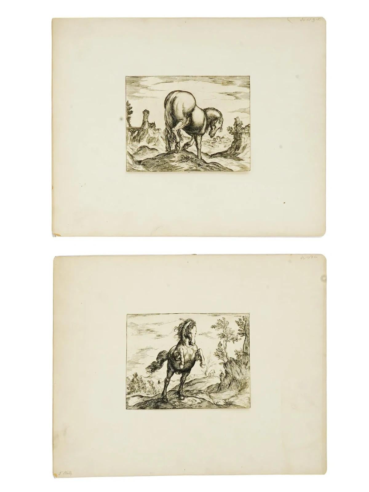 Conjunto de cinco grabados antiguos originales que representan caballos de Antonio Tempesta, italiano, 1555 a 1630. Grabado hacia 1590. Antonio Tempesta, también llamado il Tempestino, fue un pintor y grabador italiano, cuyo arte actuó como punto de