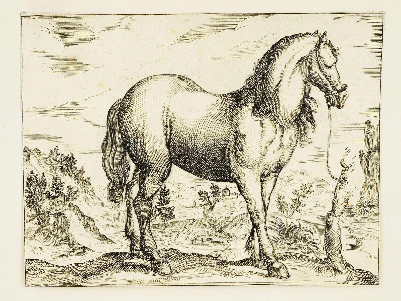 Grabados antiguos de Antonio Tempesta c. 1590 sobre papel siglo XVIII y antes en venta