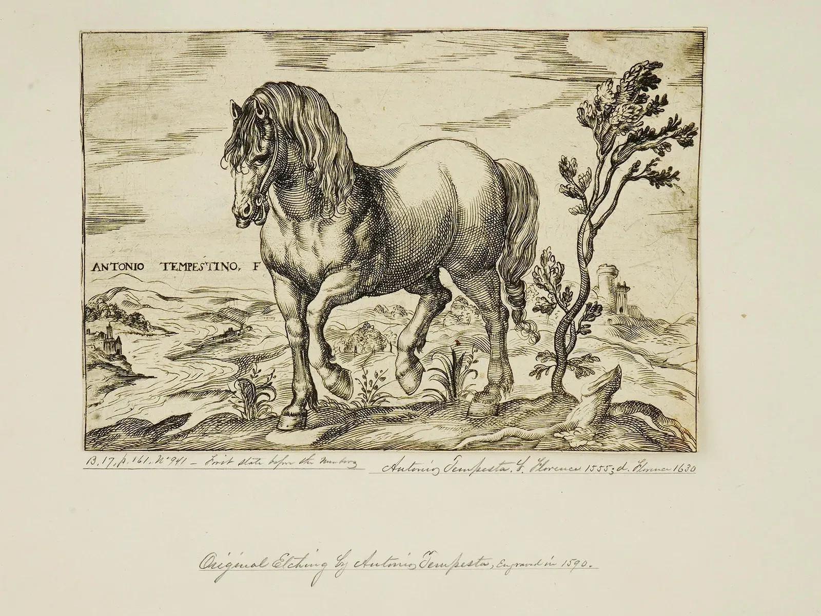 Grabados antiguos de Antonio Tempesta c. 1590 sobre papel Papel en venta