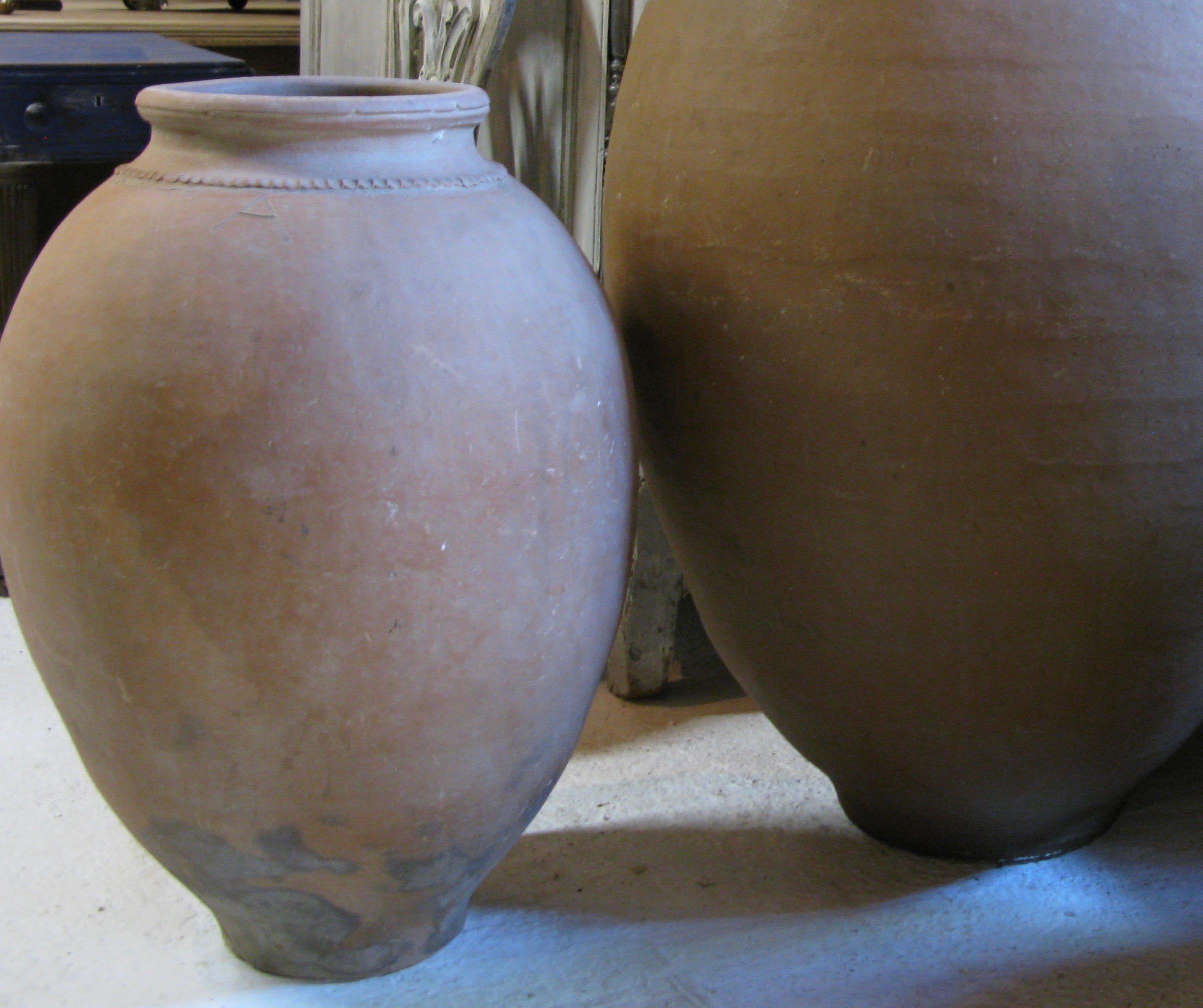 olive terracotta pot