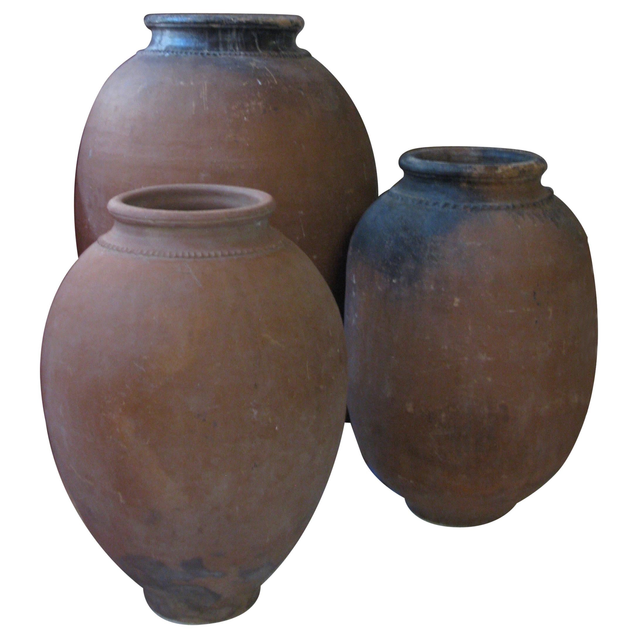 Antique Olive Pot, Olive Pot, Spain, Terracotta Pot, 20th Century