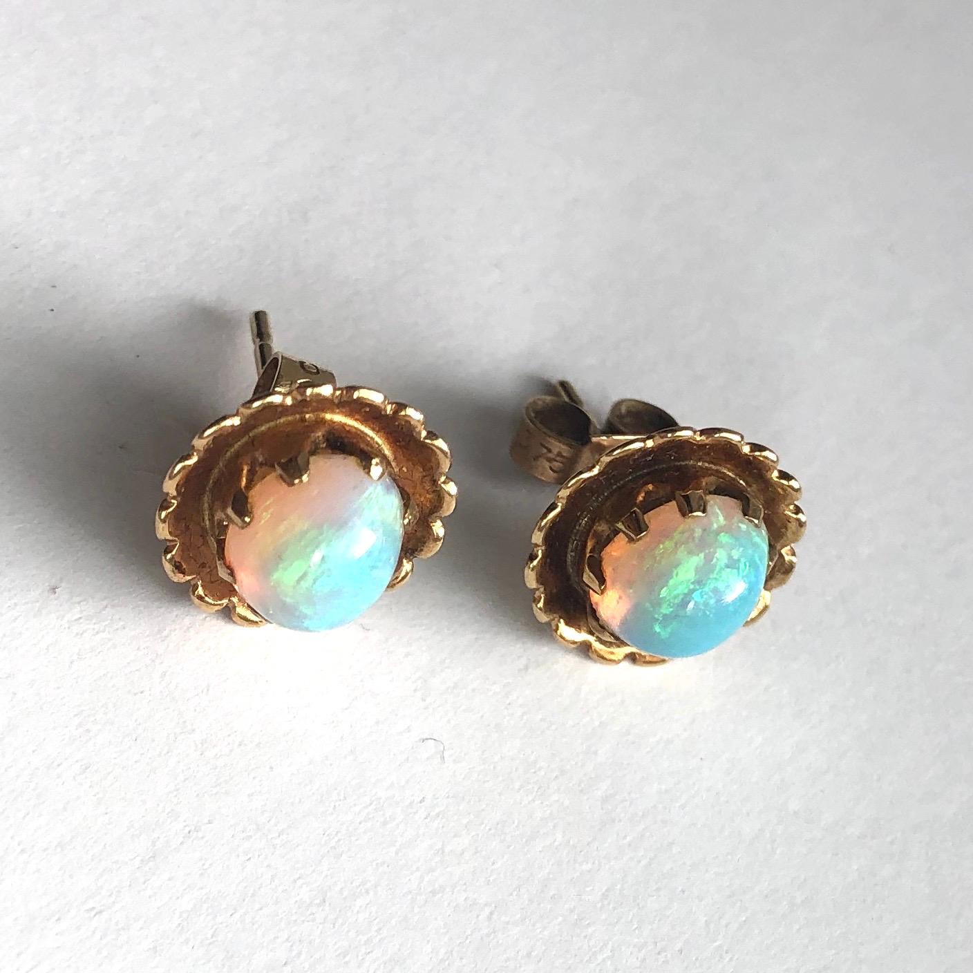These Opals throw magnificent colours. They are held in simple claw settings and then have a gorgeous scalloped frame surrounding them. Modelled in 9ct gold. 

Earring Diameter: 11mm
Opals Longest Diameter: 7.5mm 
Height From Ear: 7mm 

Weight: 2.47g