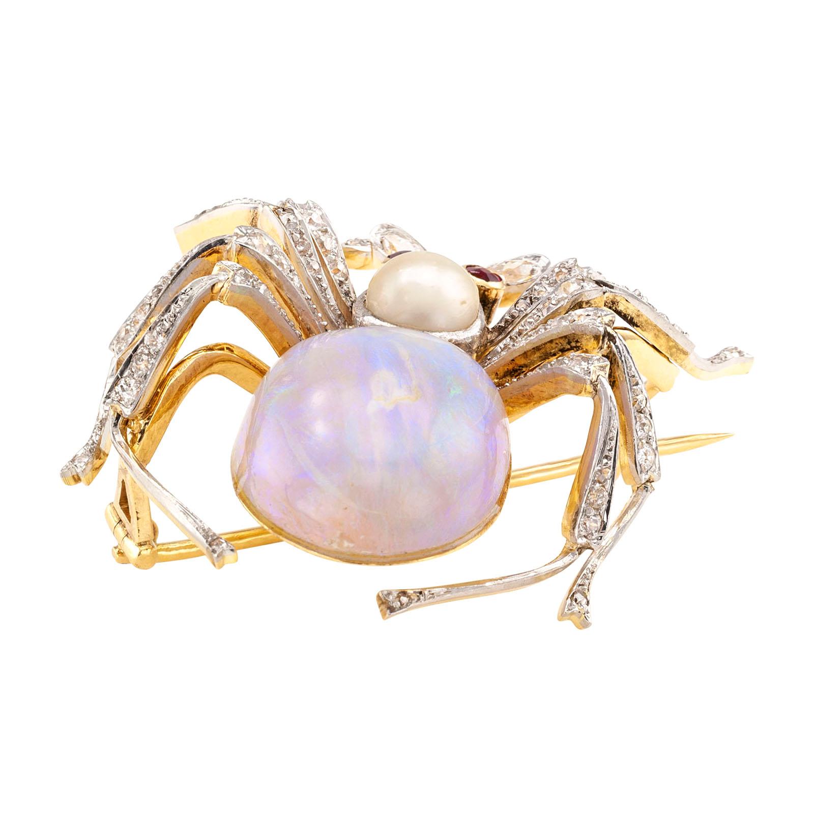 opal spider