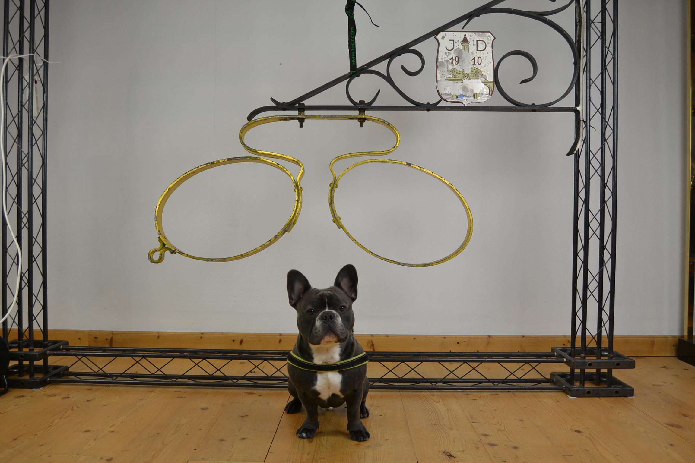 Antique Optician's Trade Sign, Belgium, Early 20th Century 11