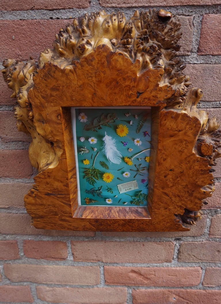 Antique and Organic Solid Burl Walnut or Burl Amboyna Wall 