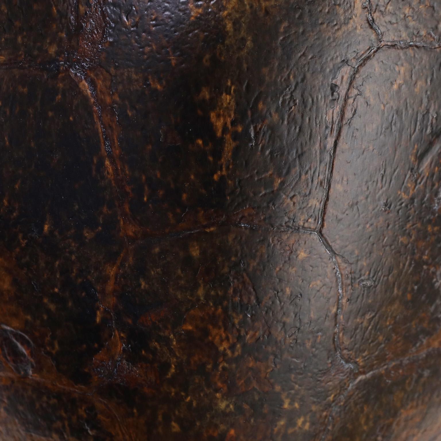Antique Organic Turtle Shell In Good Condition In Palm Beach, FL
