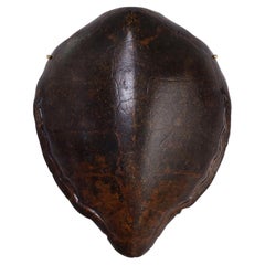Antike organische Schildkrötenpanzer-Muschel