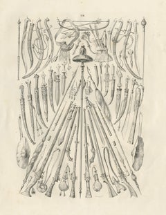Antique Oriental Arms and Daggers Study from Maximilian in Bavaria, 1846
