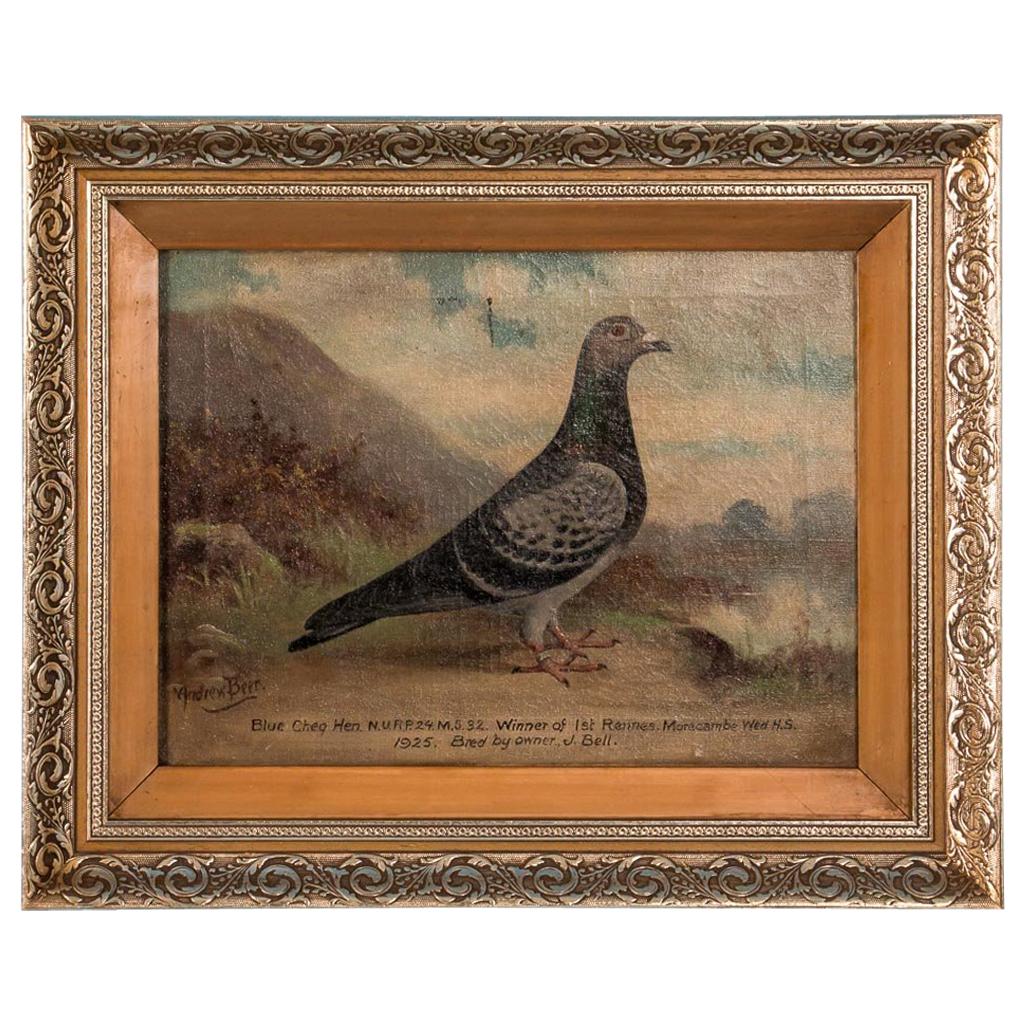 Antique Original English Oil on Canvas Painting of a Prize Winning Pigeon