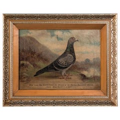 Antique Original English Oil on Canvas Painting of a Prize Winning Pigeon