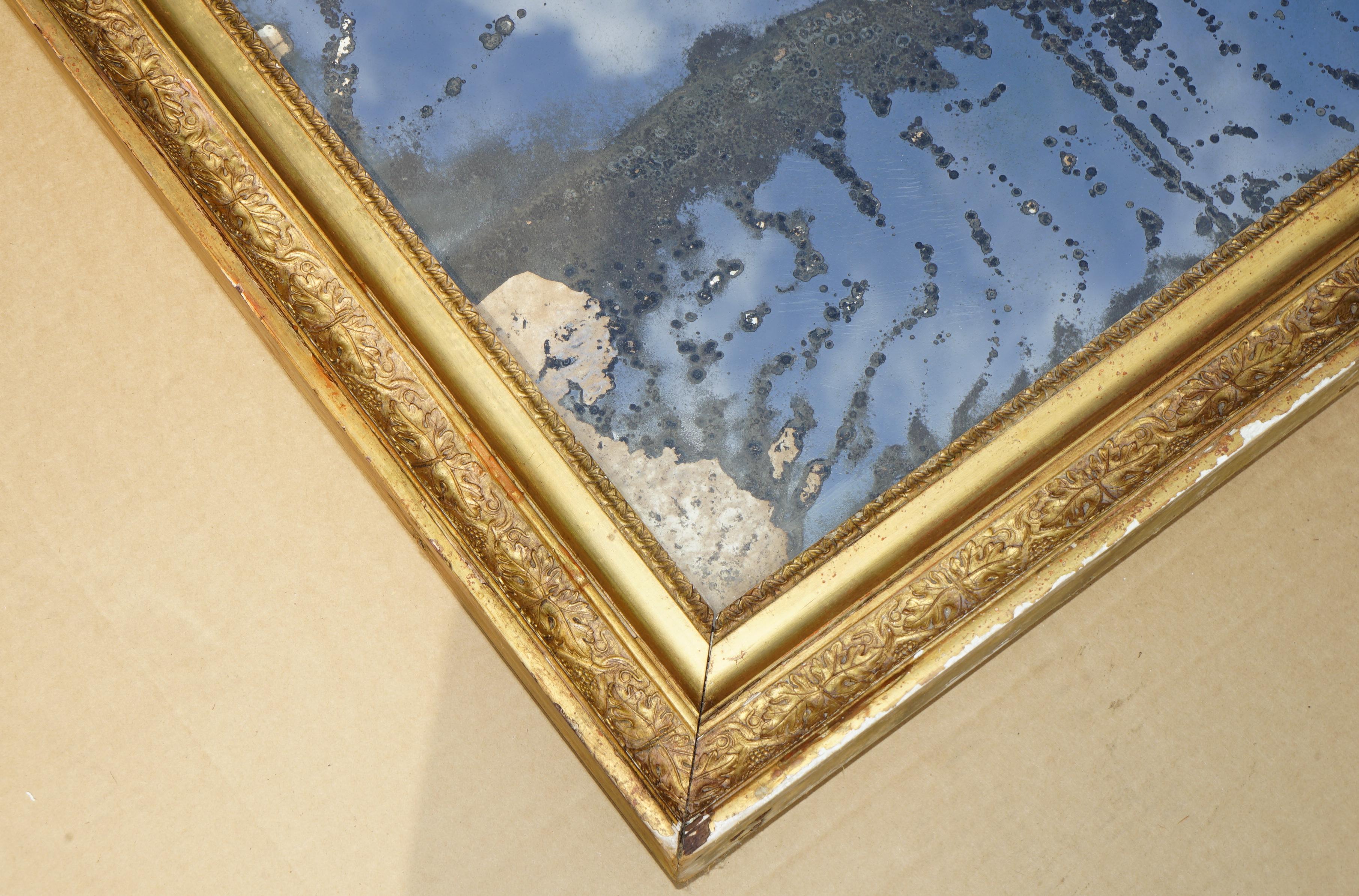 ANTiQUE ORIGINAL FOXED GLASS PLATE CIRCA 1820 LARGE FRENCH GESSO OAK WALL MIRROR im Angebot 2