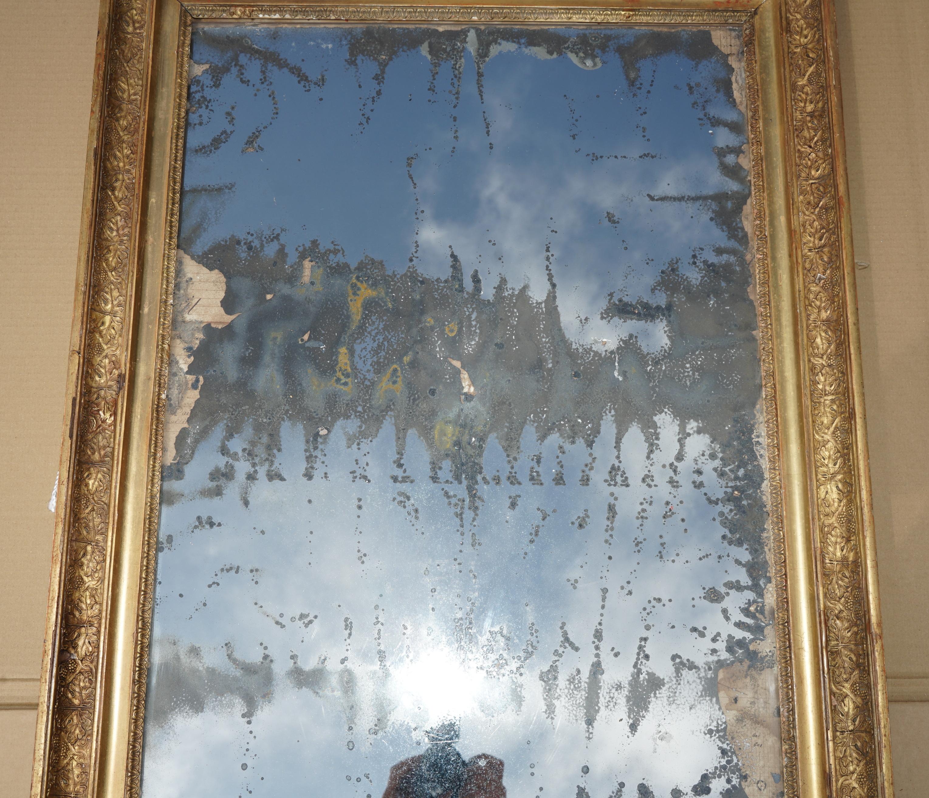 ANTiQUE ORIGINAL FOXED GLASS PLATE CIRCA 1820 LARGE FRENCH GESSO OAK WALL MIRROR (Georgian) im Angebot