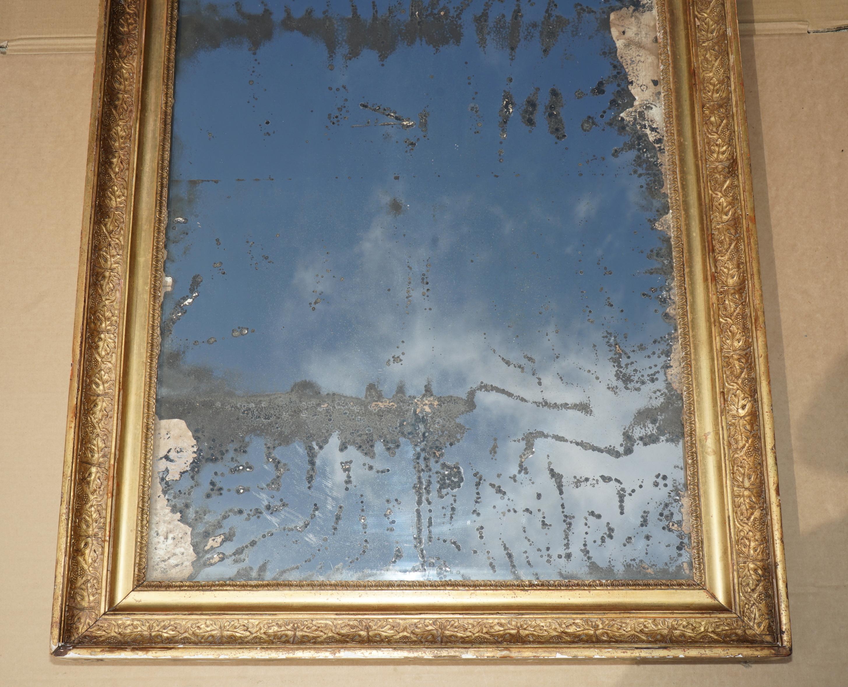ANTiQUE ORIGINAL FOXED GLASS PLATE CIRCA 1820 LARGE FRENCH GESSO OAK WALL MIRROR (Französisch) im Angebot