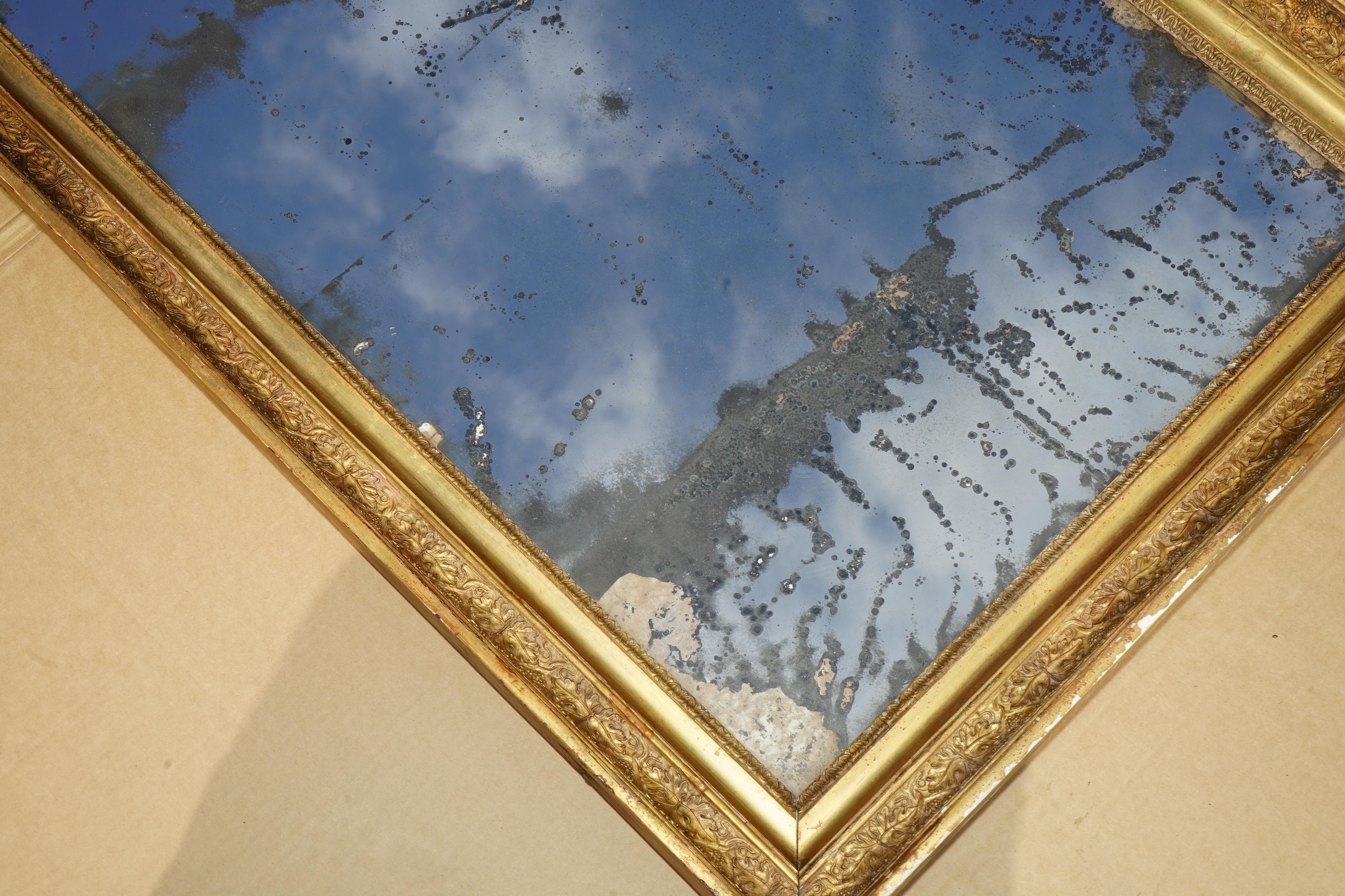ANTiQUE ORIGINAL FOXED GLASS PLATE CIRCA 1820 LARGE FRENCH GESSO OAK WALL MIRROR (Frühes 19. Jahrhundert) im Angebot