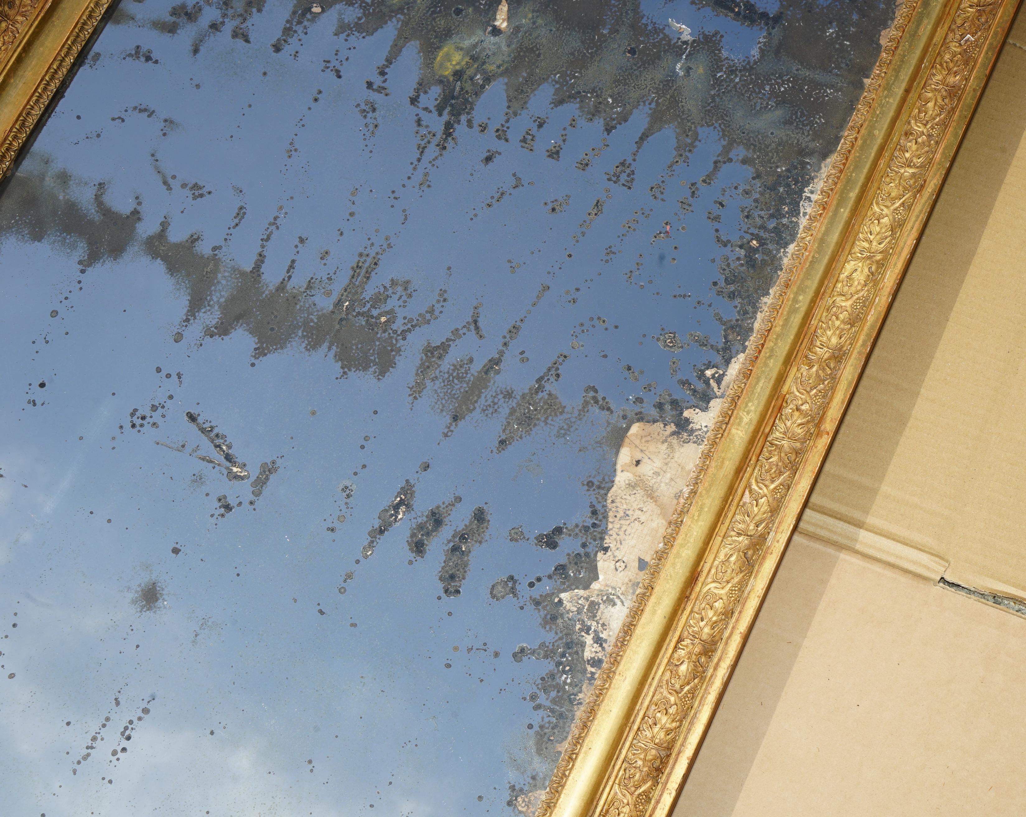 ANTiQUE ORIGINAL FOXED GLASS PLATE CIRCA 1820 LARGE FRENCH GESSO OAK WALL MIRROR (Spiegel) im Angebot