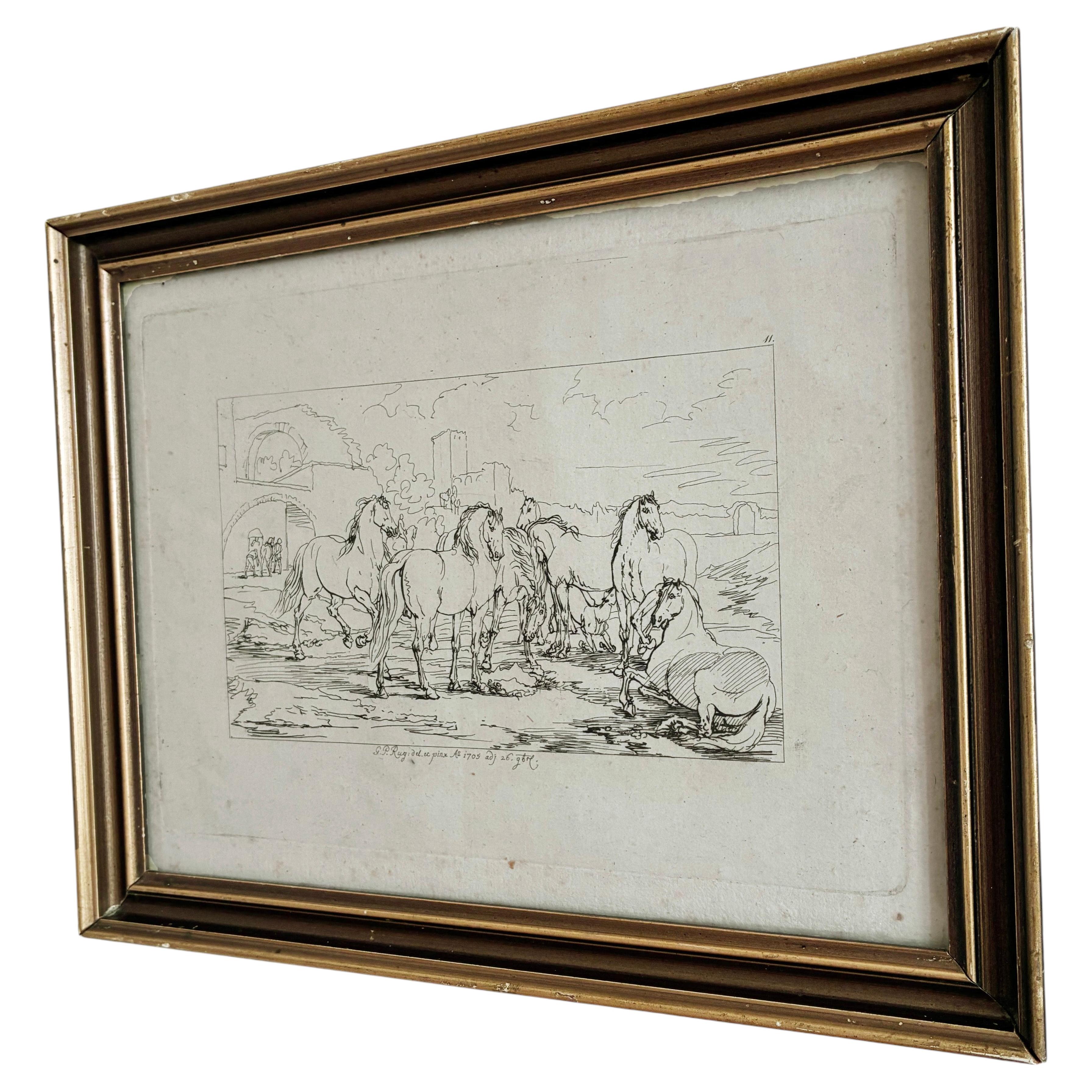 Antique Original Horse Etching, circa 1700: Framed Equestrian Print