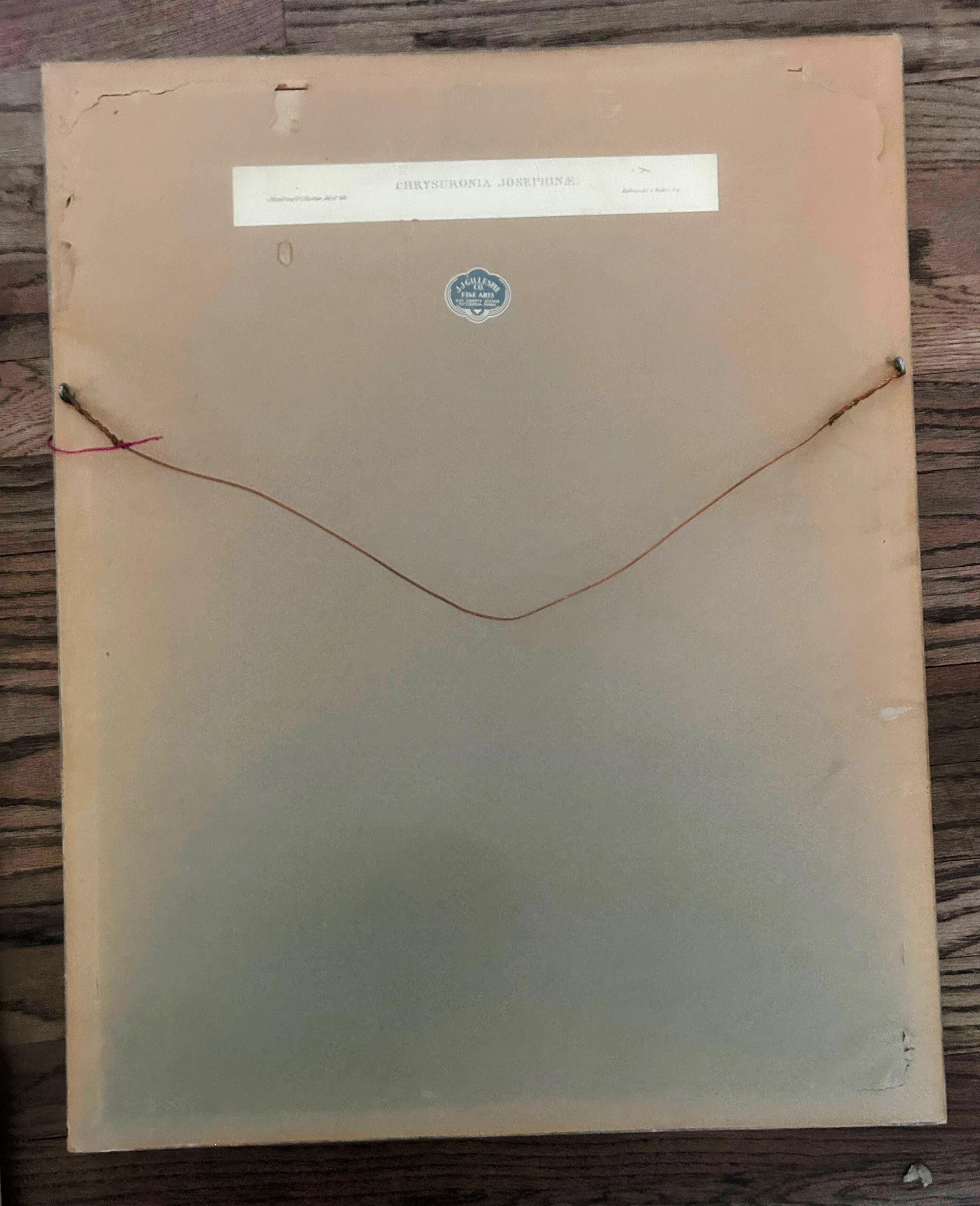 Milieu du XIXe siècle Antique Original J Gould H C Richter Hummingbird 
