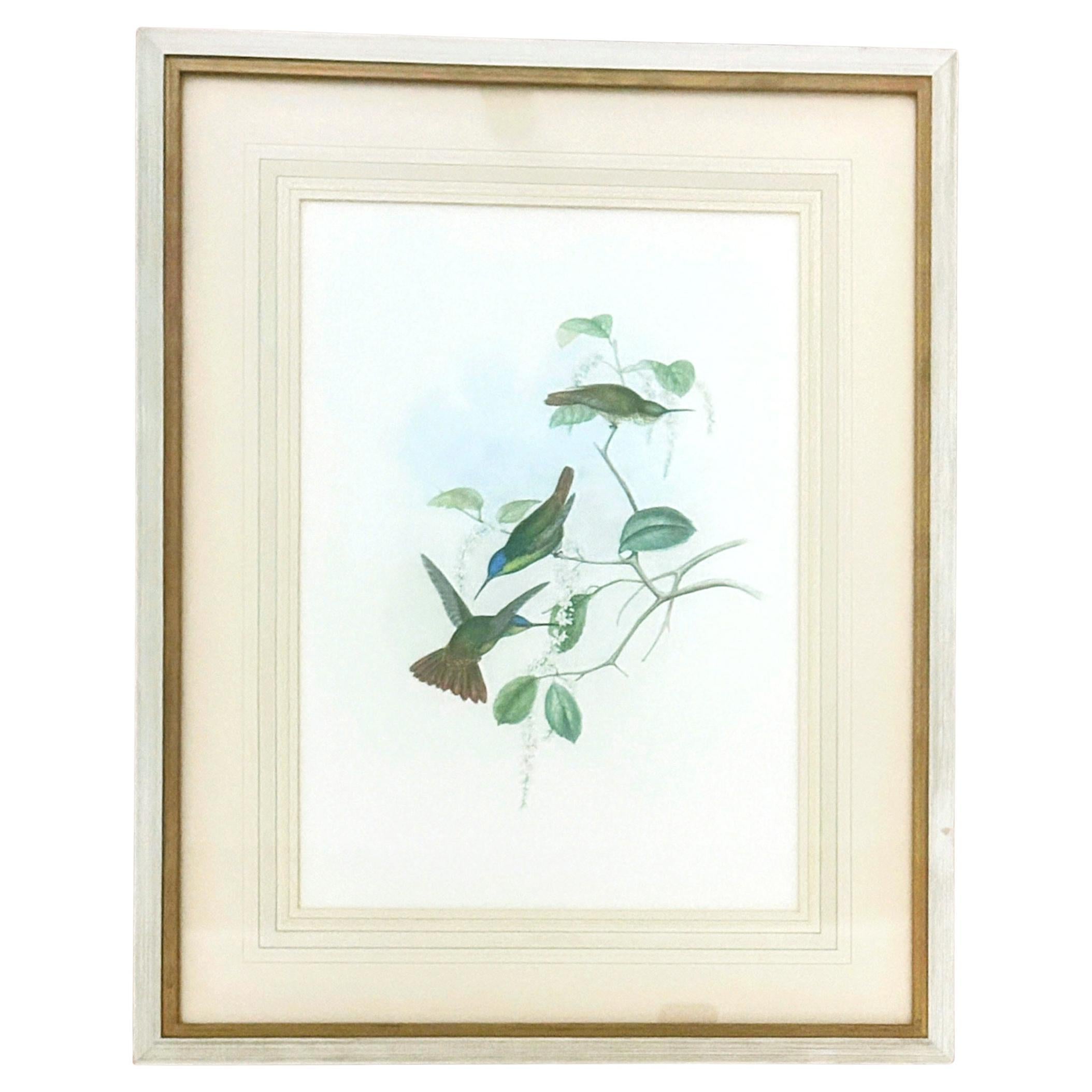 Plexiglass Prints