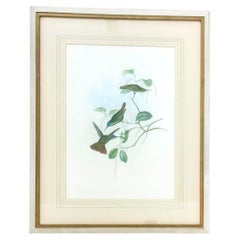 Prints