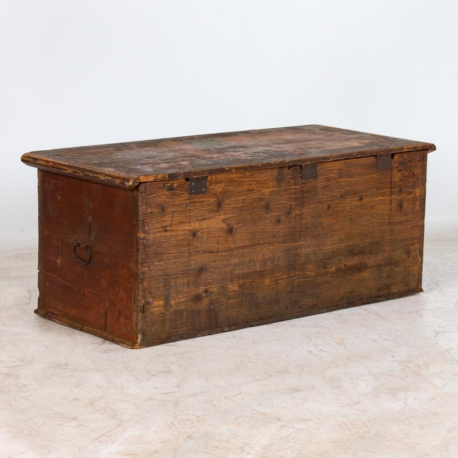 19th Century Antique Original Painted Trunk from Romania, Perfect Coffee Table
