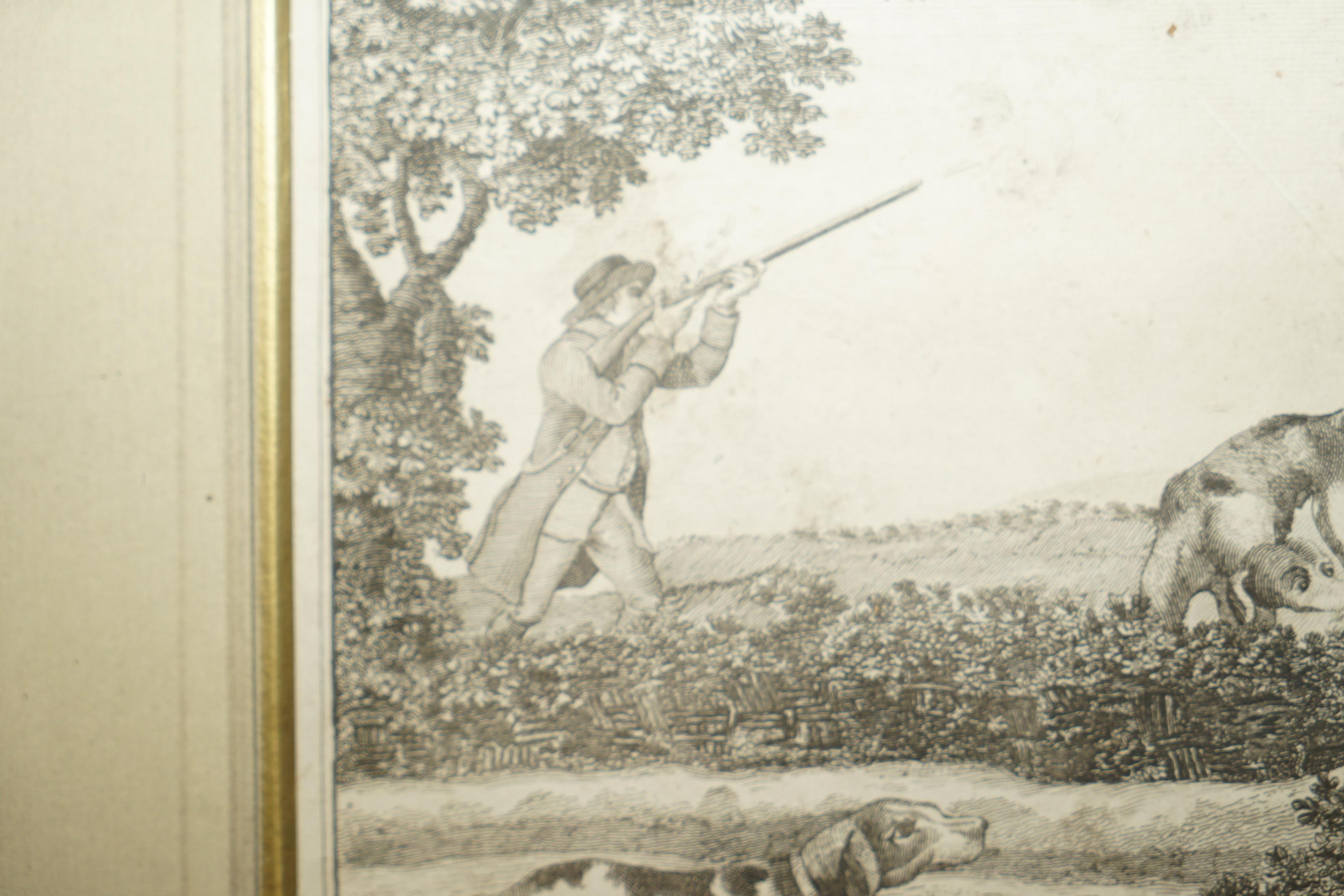 Antique Original Robert Dodd 1748-1816 Copper Plate Print of Partridge Shooting For Sale 3