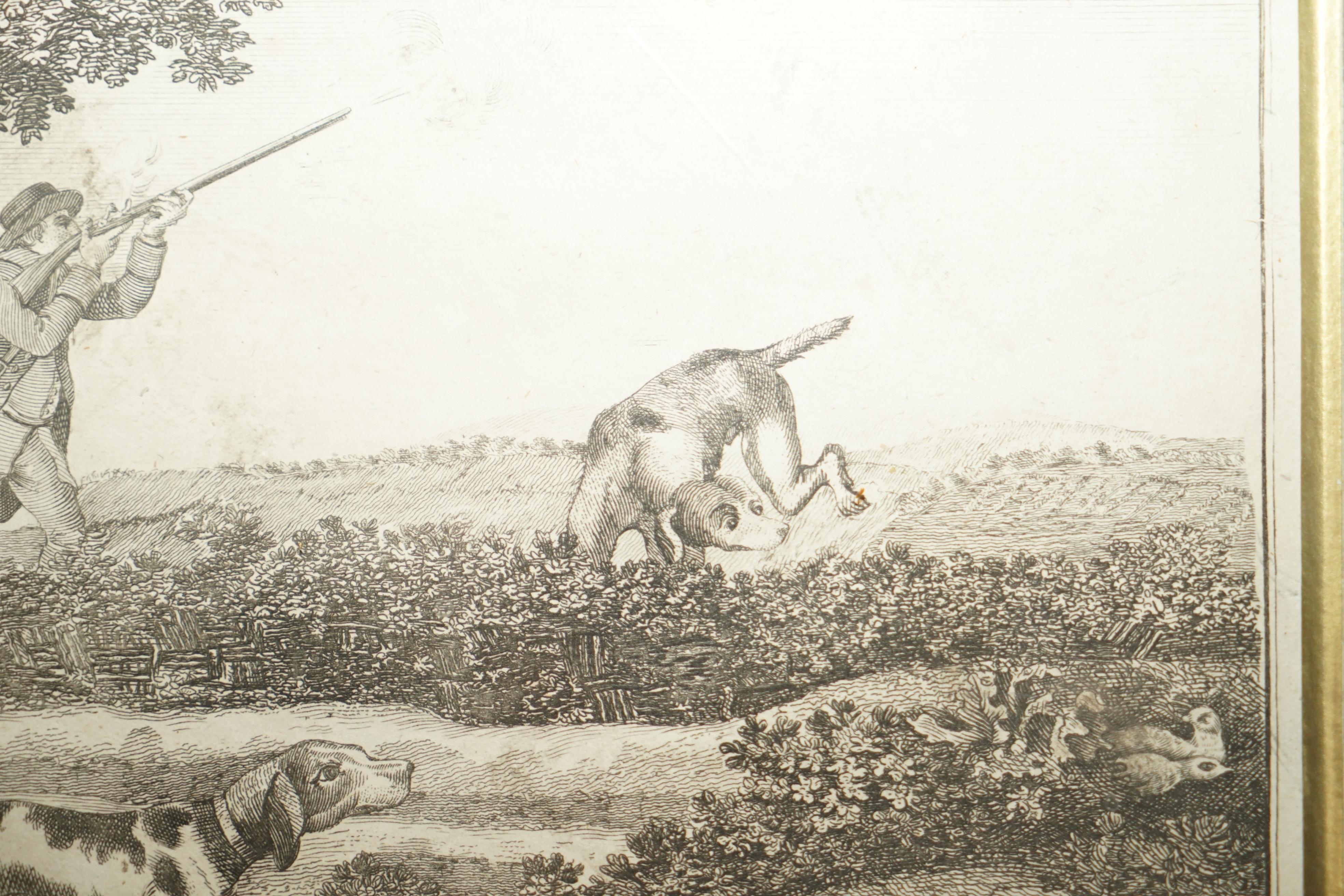 Antique Original Robert Dodd 1748-1816 Copper Plate Print of Partridge Shooting For Sale 5