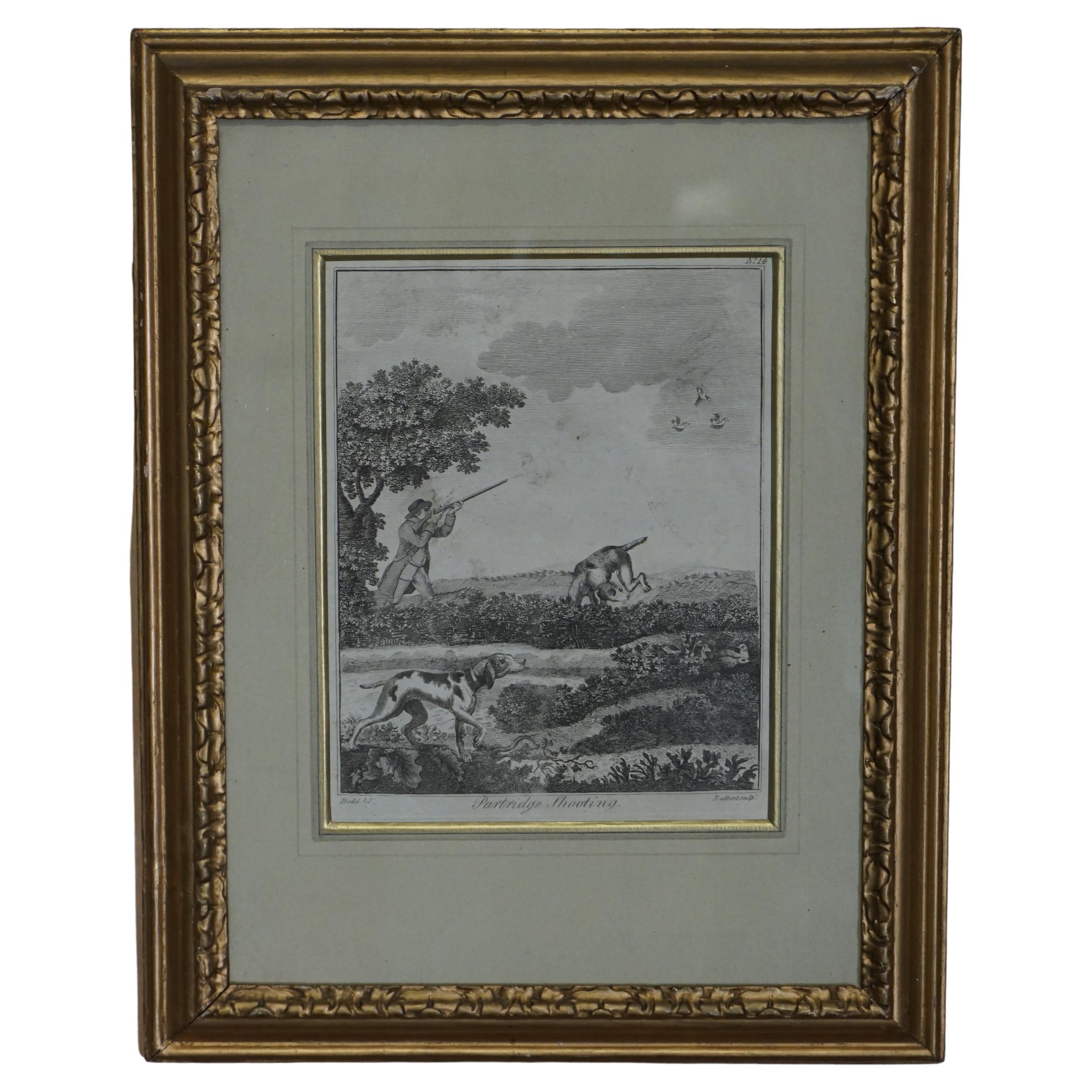 Robert Dodd 1748-1816, impression originale d'une plaque de cuivre de chasse à Partridge