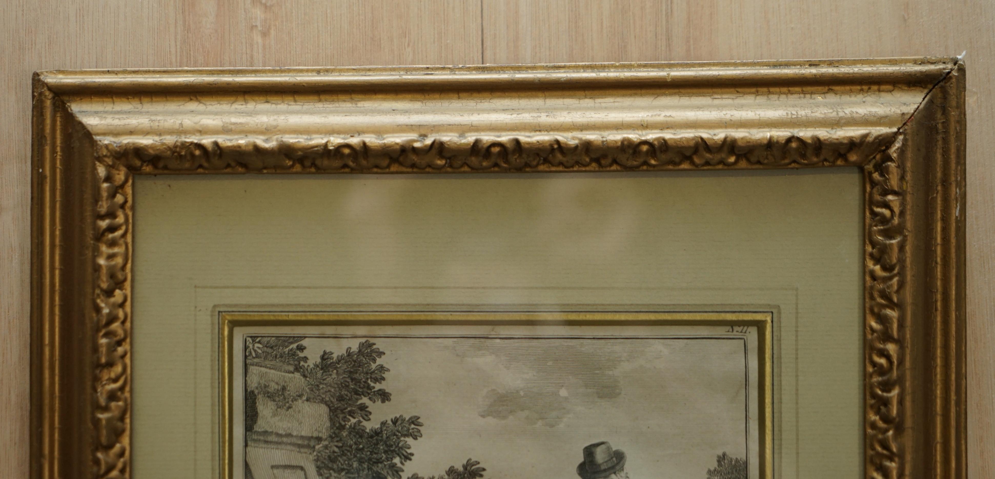 Antiker Original Robert Dodd 1748-1816 Kupferplatte Druck von Fasanenschwappen (Englisch) im Angebot