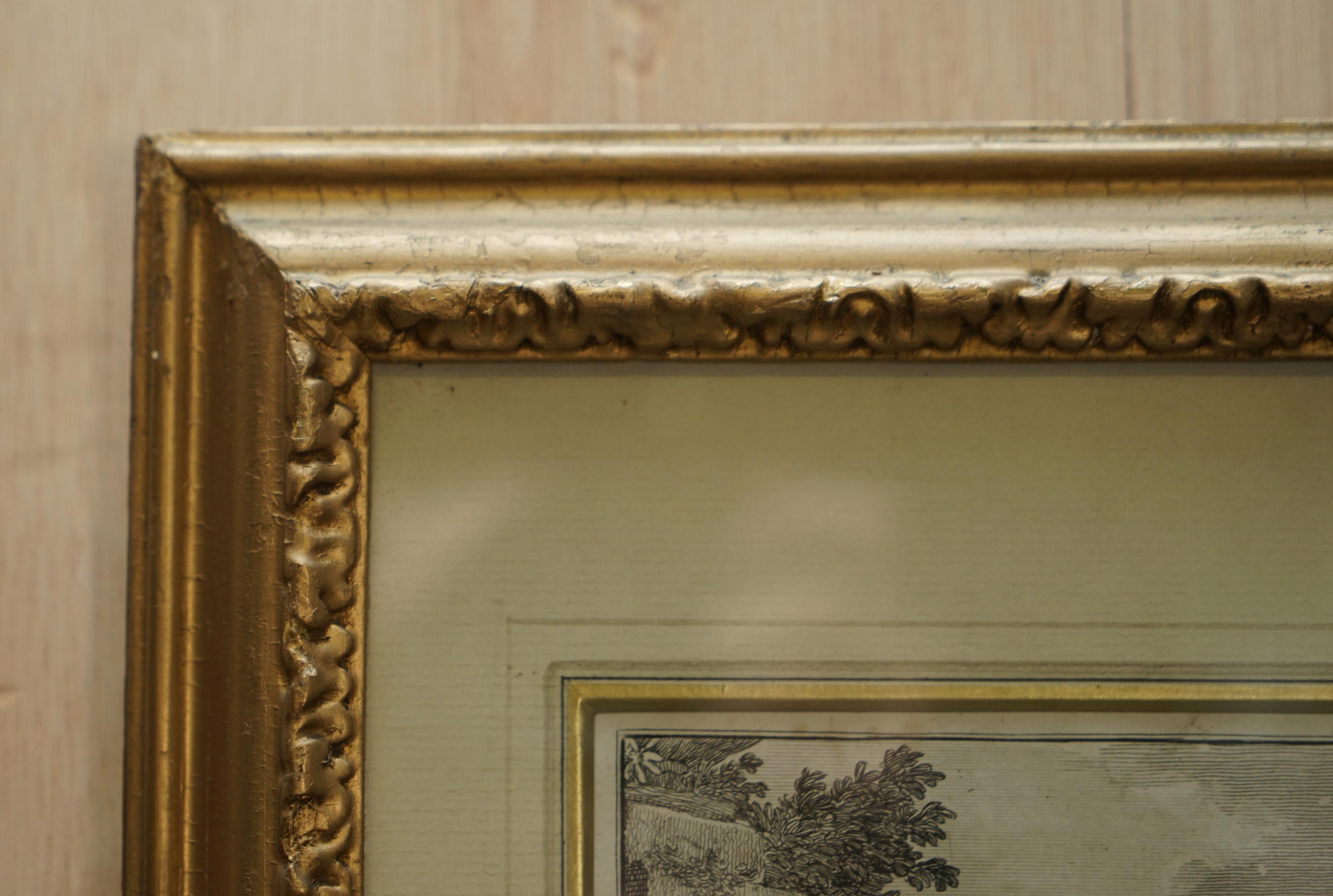 Ancienne impression originale de plaque de cuivre de chasse de faisans par Robert Dodd, 1748-1816 en vente 1