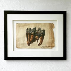 Ancienne étude scientifique originale d'une dent de mammifère, aquarelle originale