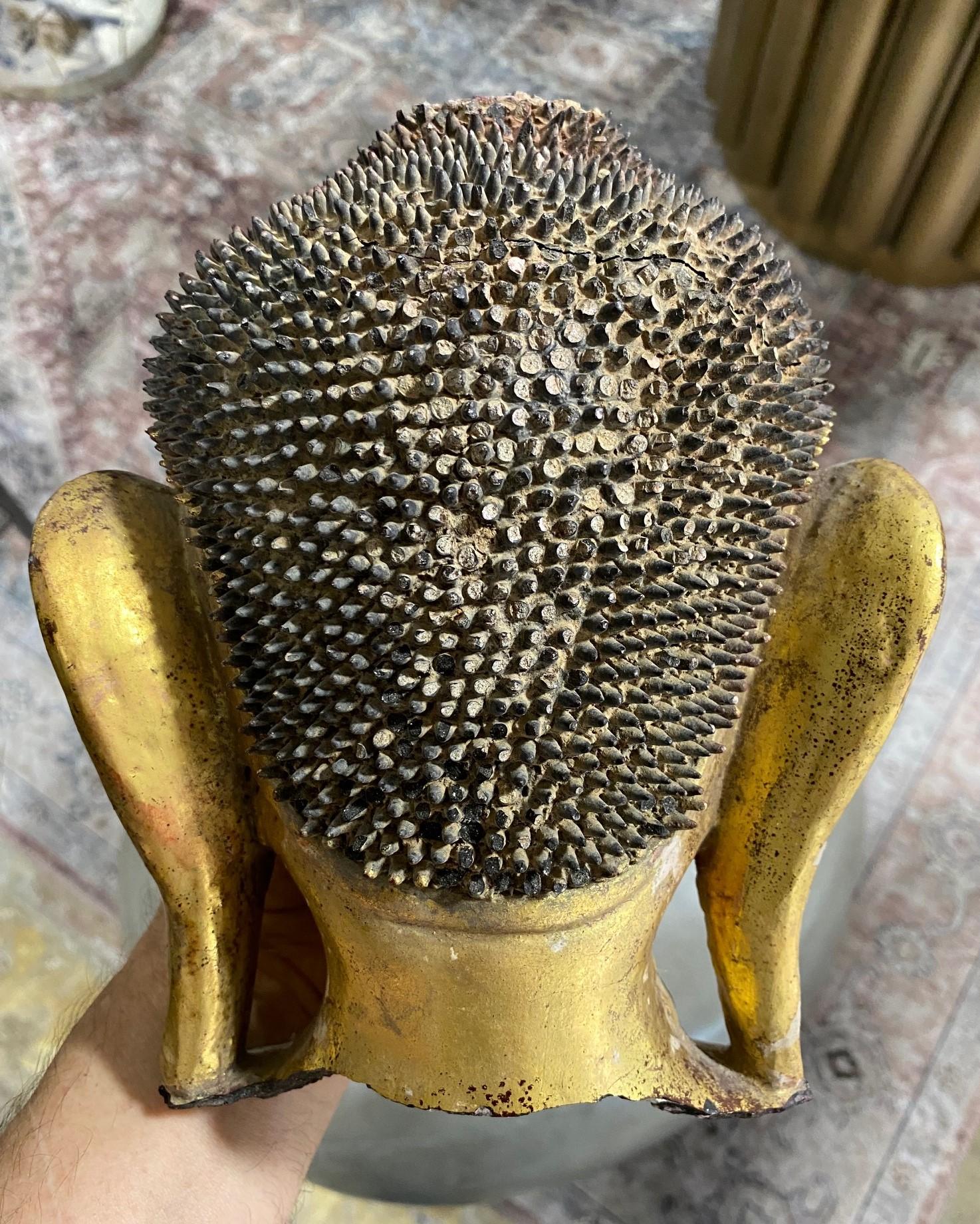 Antike Original Thayo Burma Myanmar Asiatische Buddha-Kopf-Skulptur-Statue, Thayo im Angebot 7