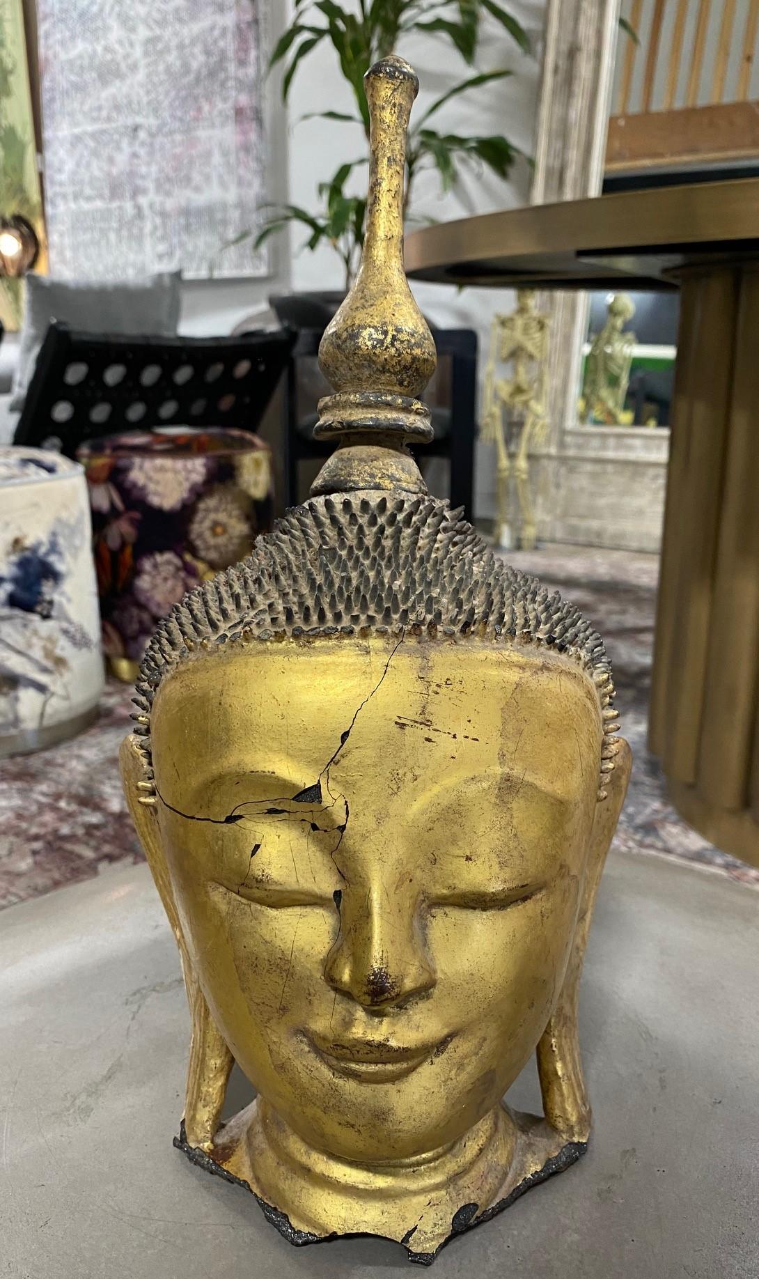 Antike Original Thayo Burma Myanmar Asiatische Buddha-Kopf-Skulptur-Statue, Thayo im Angebot 13